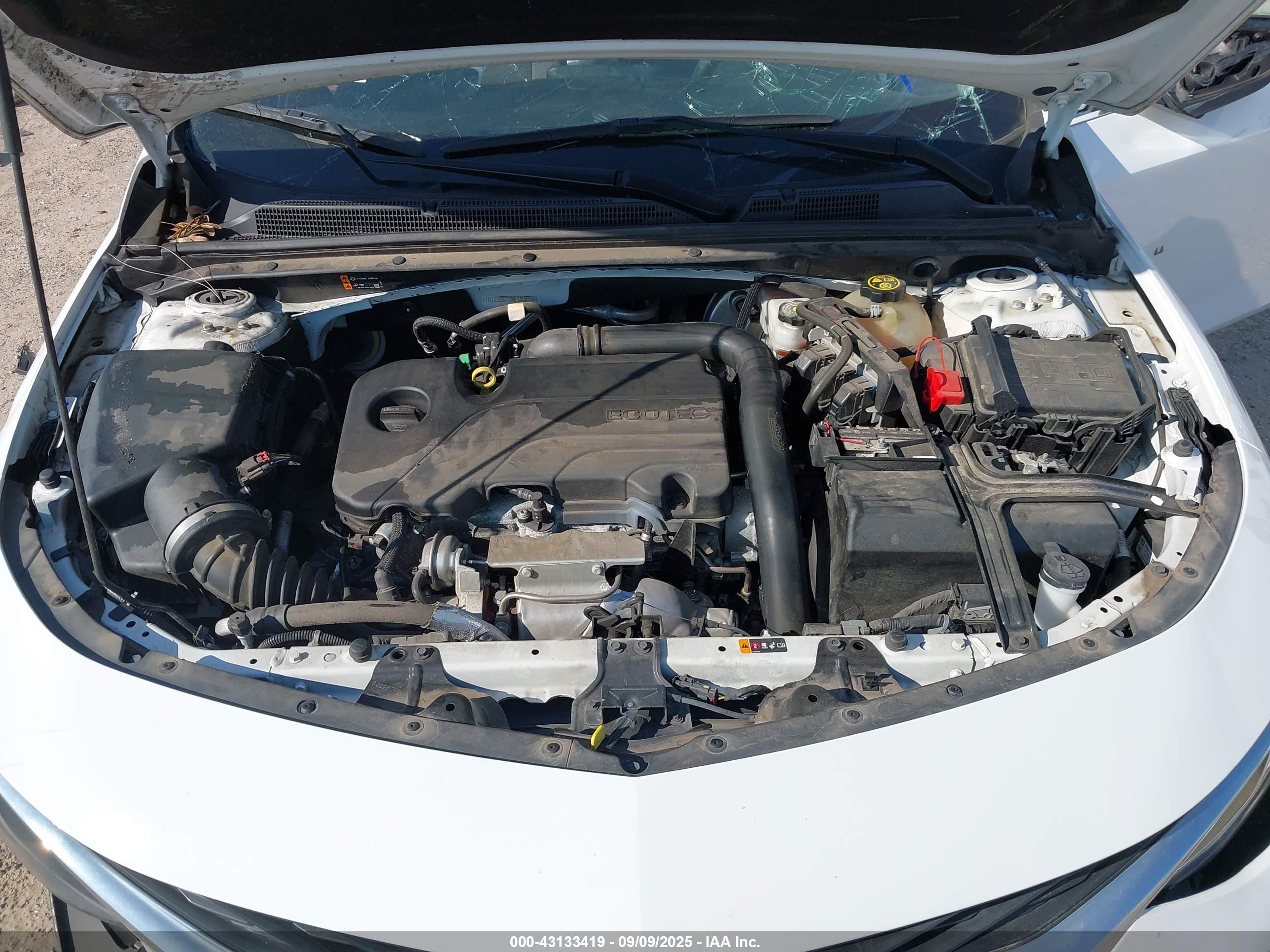 CHEVROLET MALIBU image 10