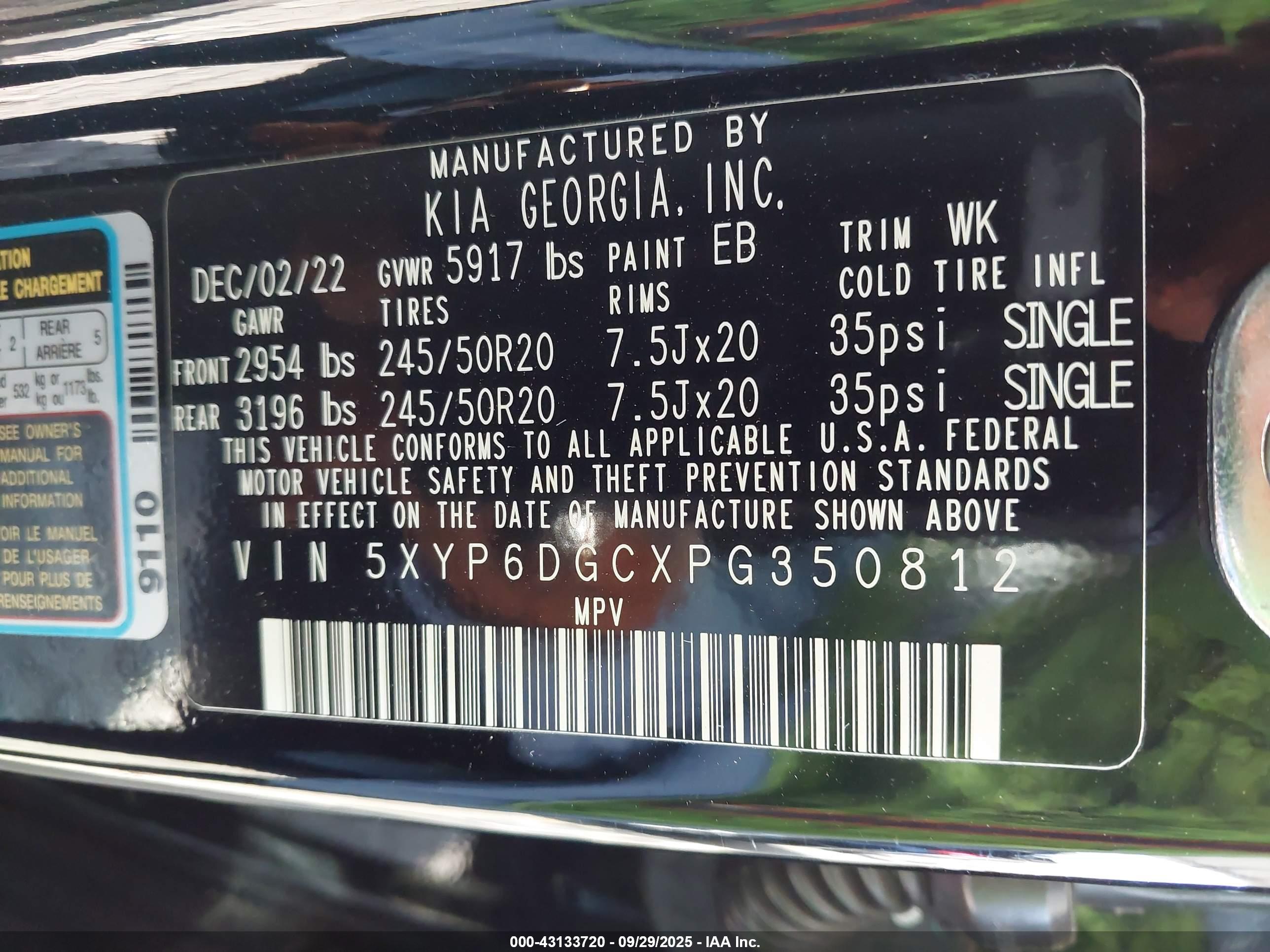KIA TELLURIDE image 9