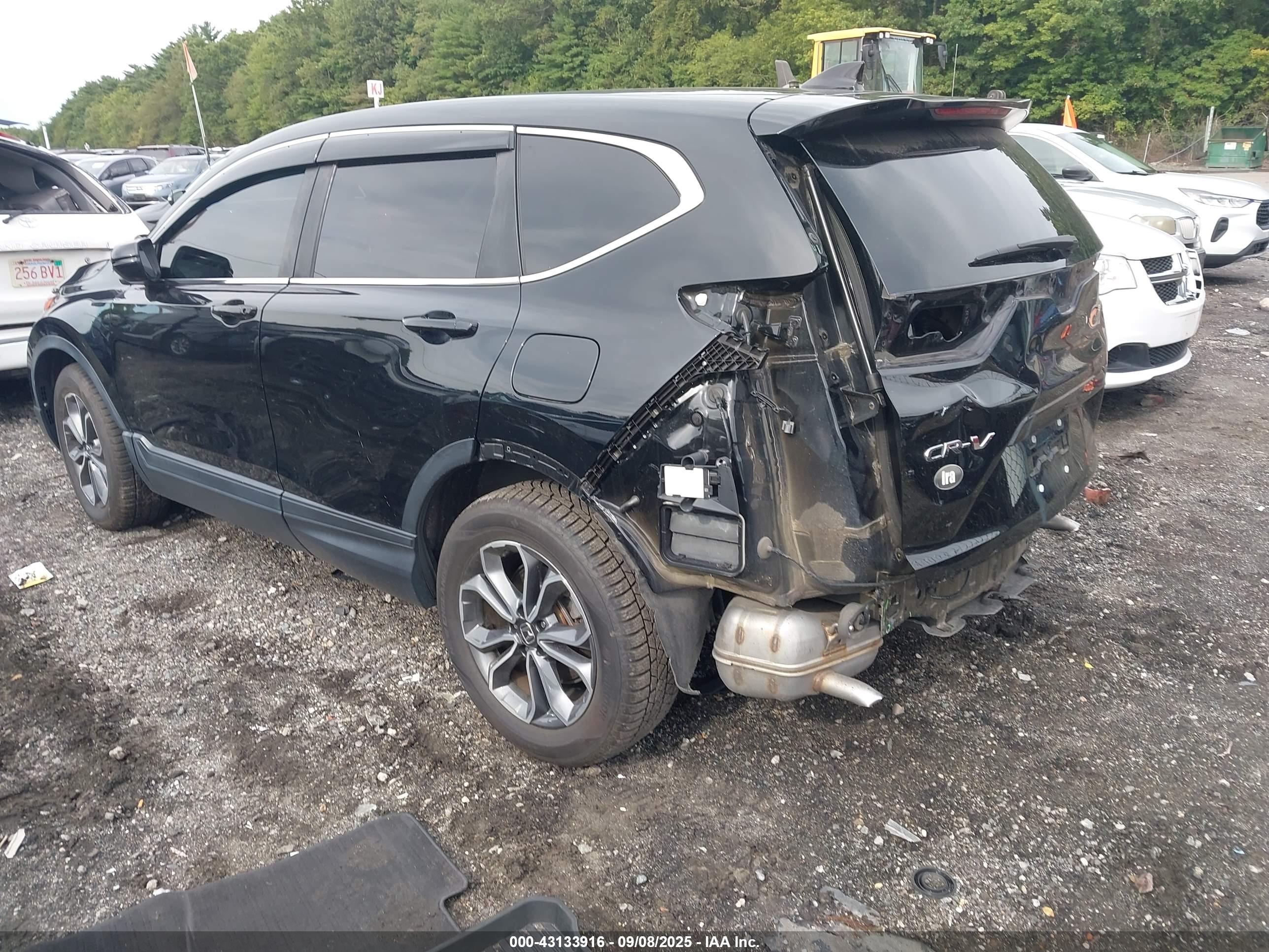 HONDA CR-V image 3