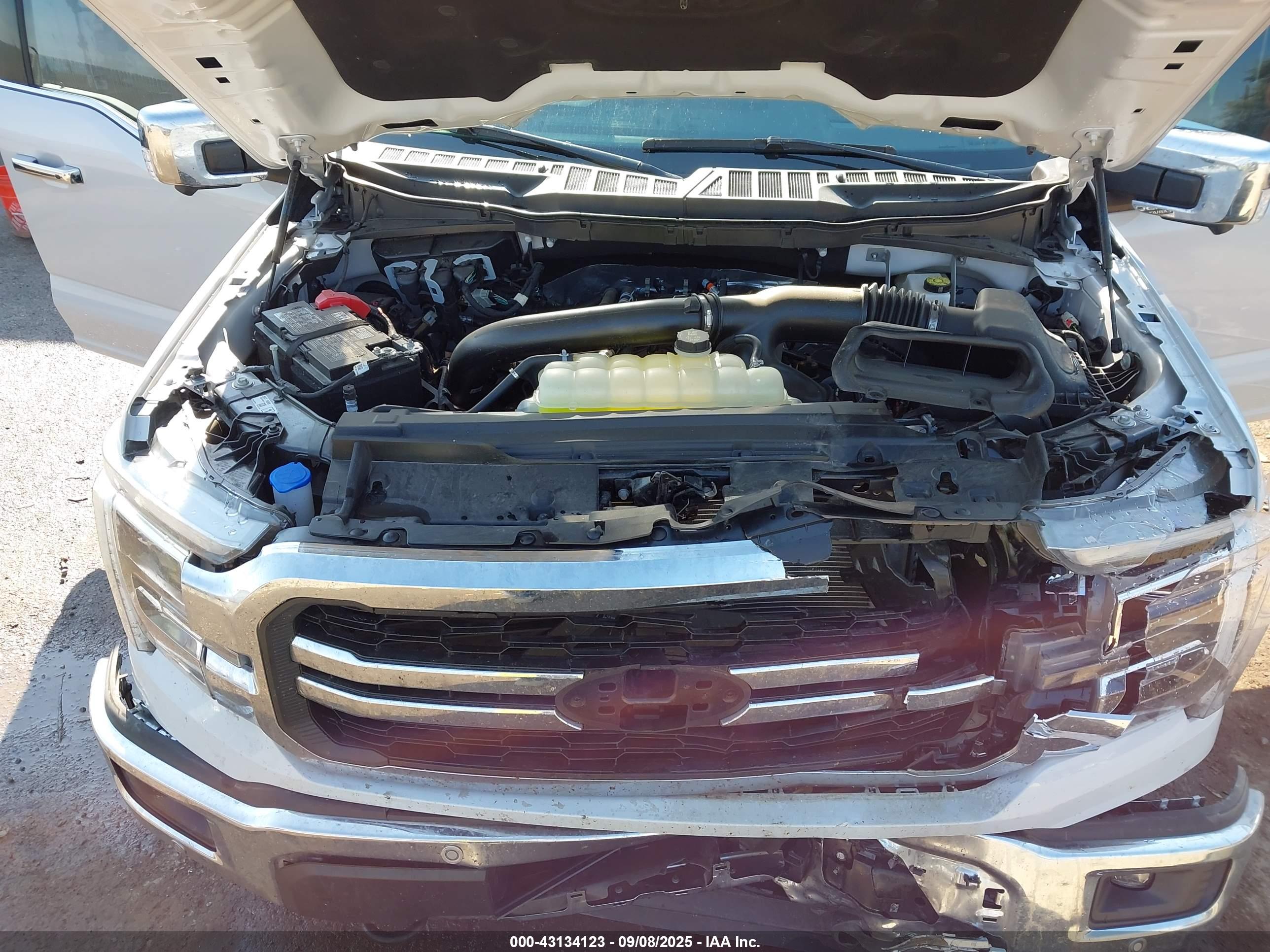FORD F-150 image 10