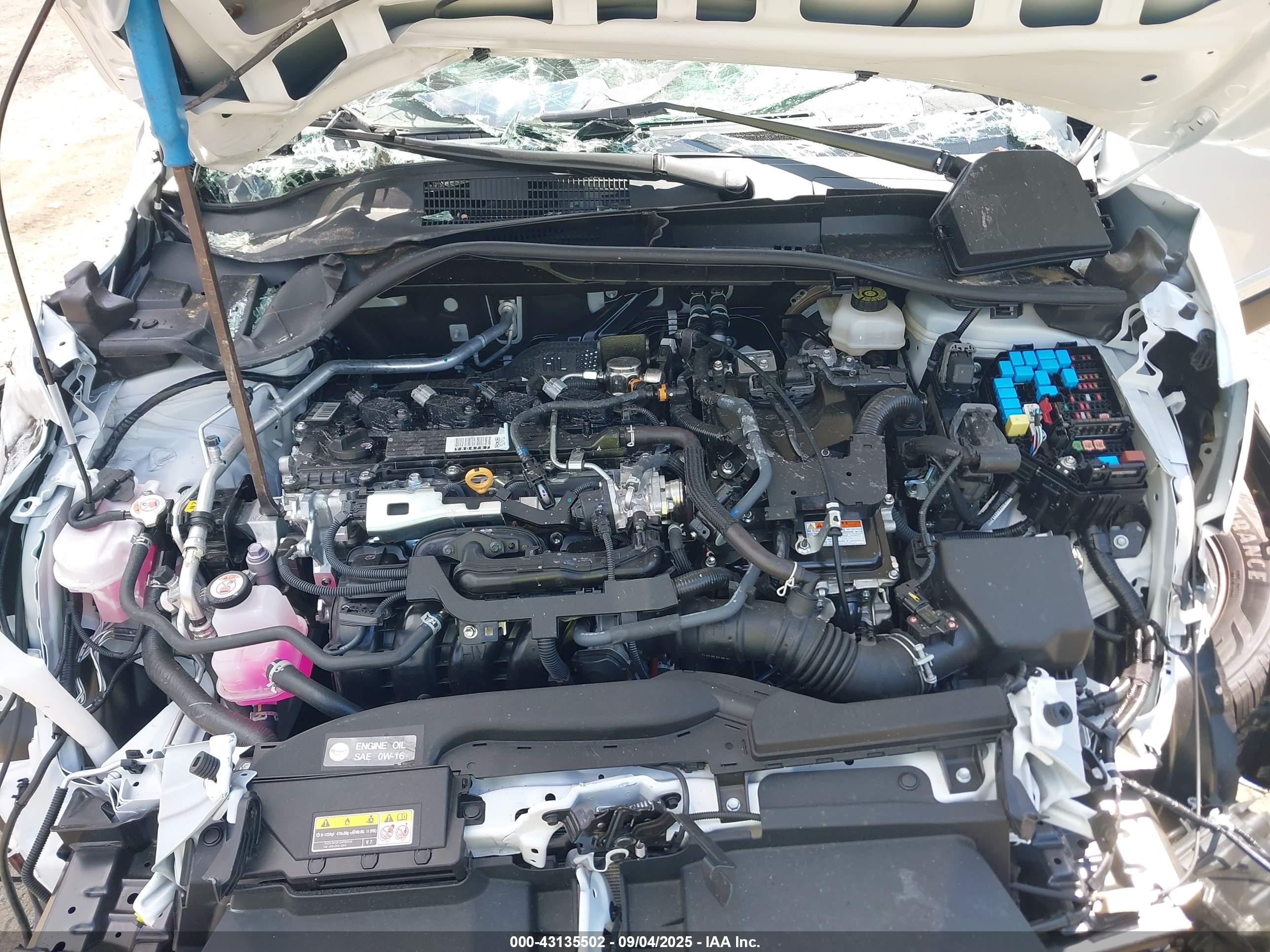 TOYOTA COROLLA image 10