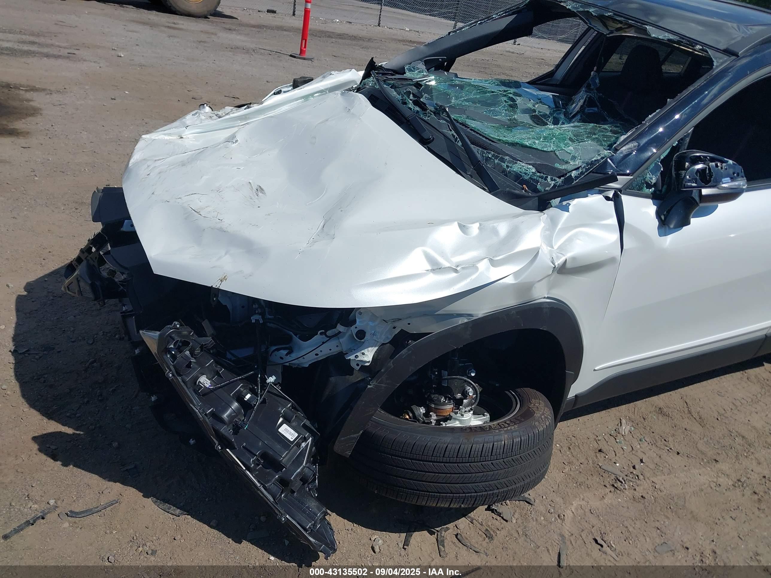 TOYOTA COROLLA image 6