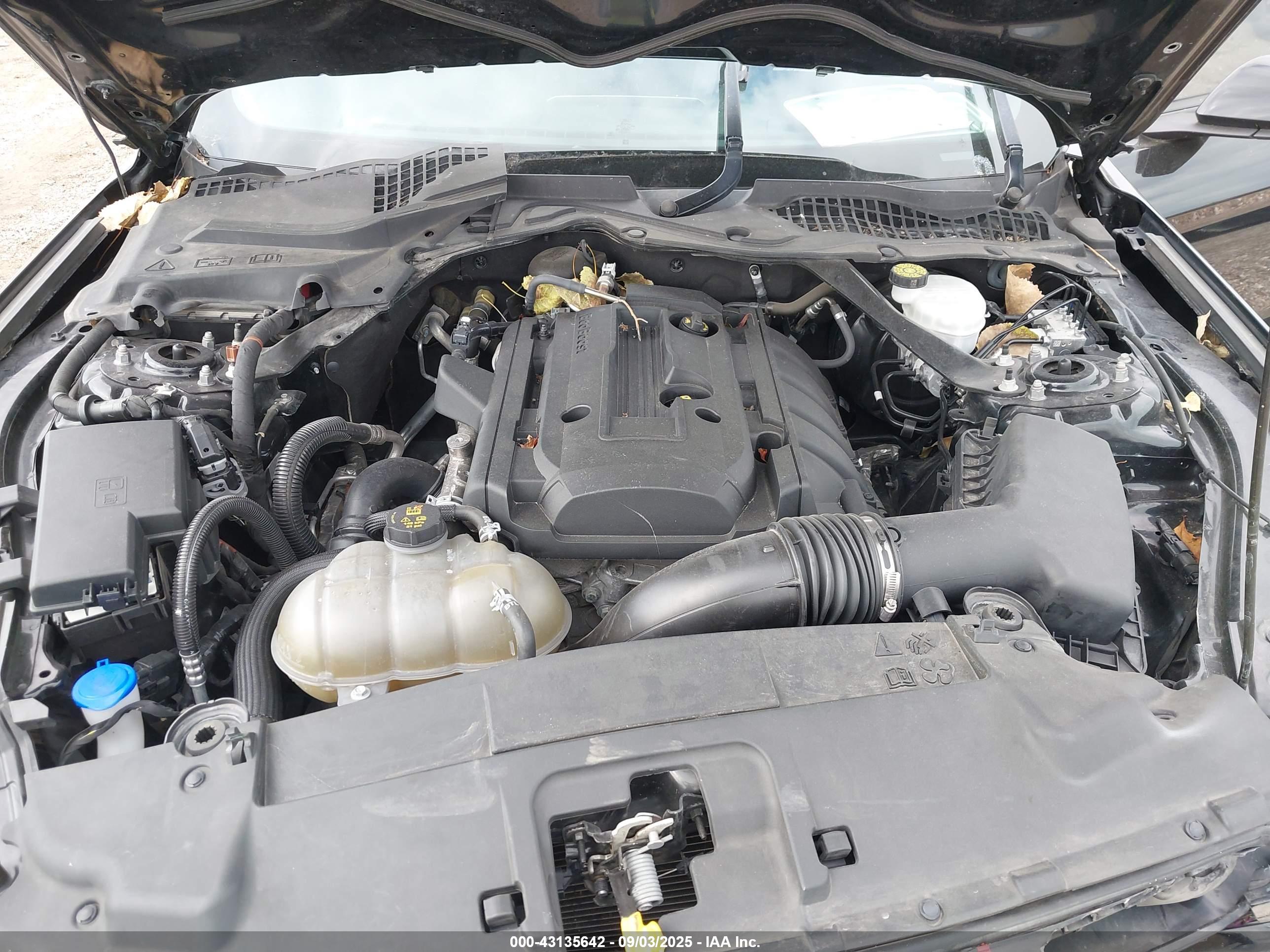 FORD MUSTANG image 10