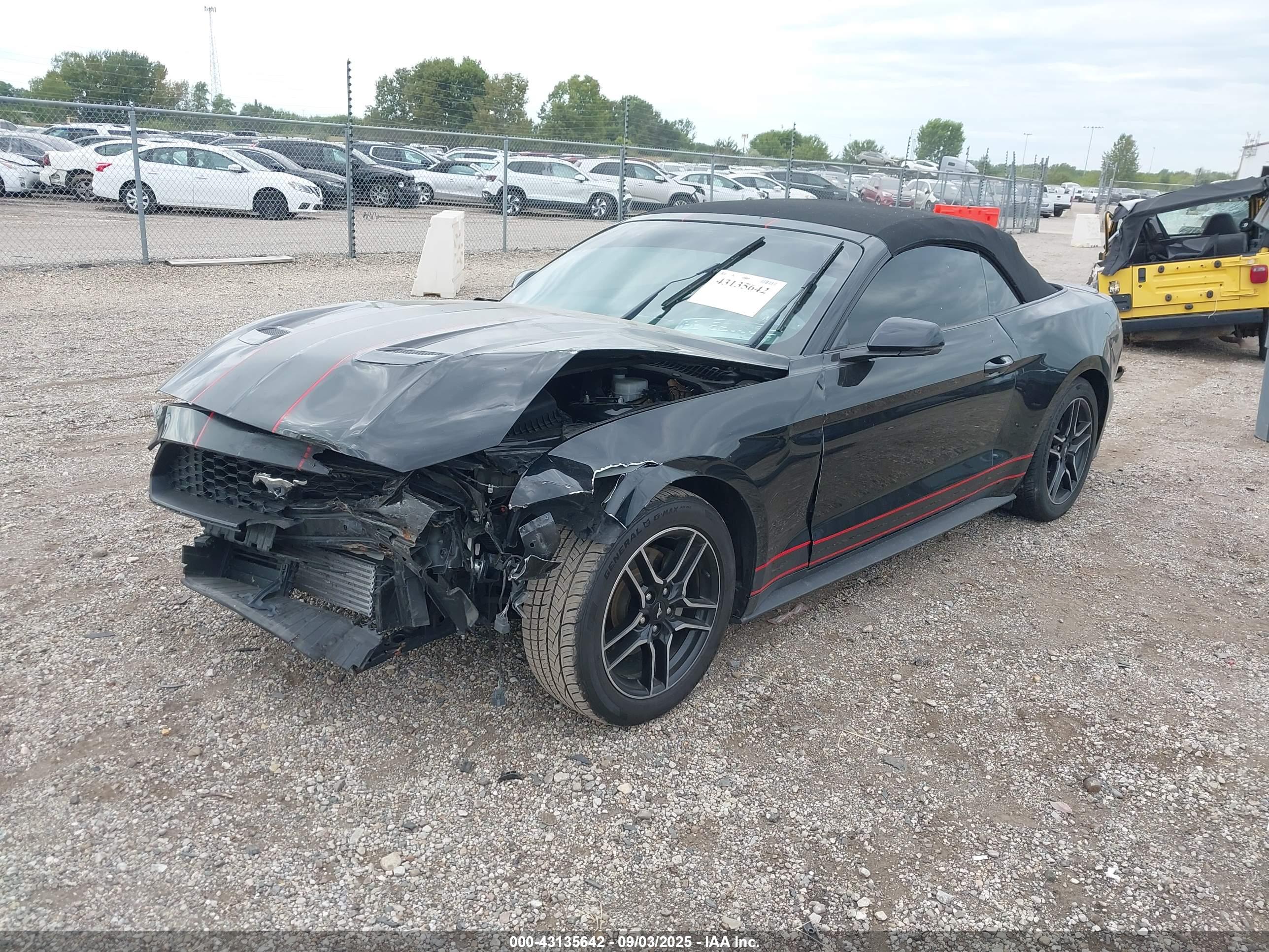 FORD MUSTANG image 2
