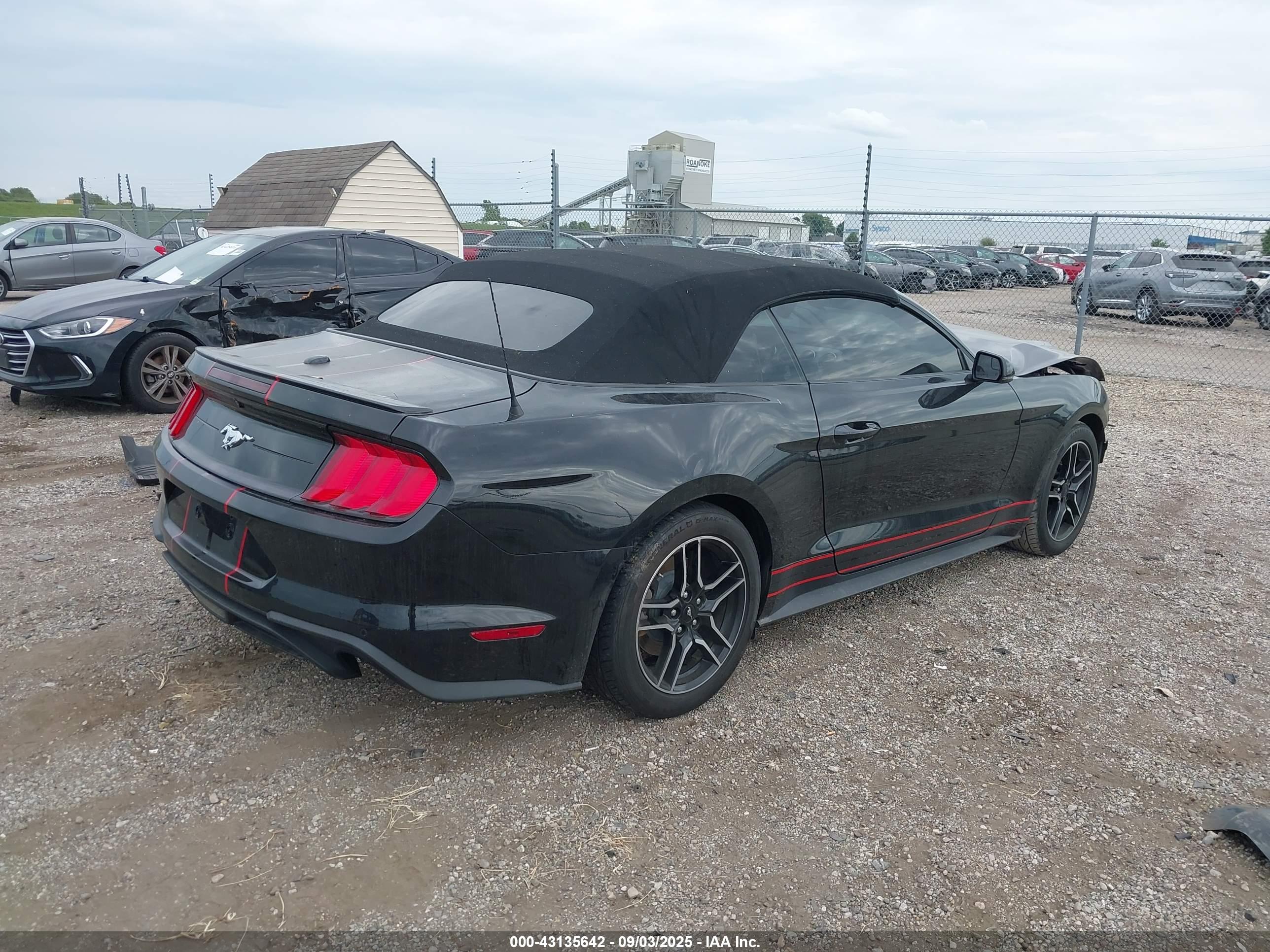 FORD MUSTANG image 4