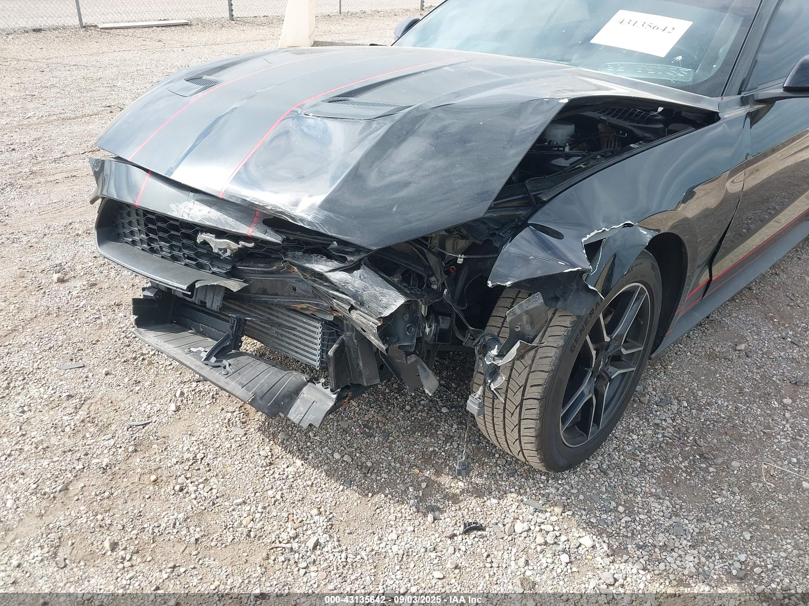 FORD MUSTANG image 6