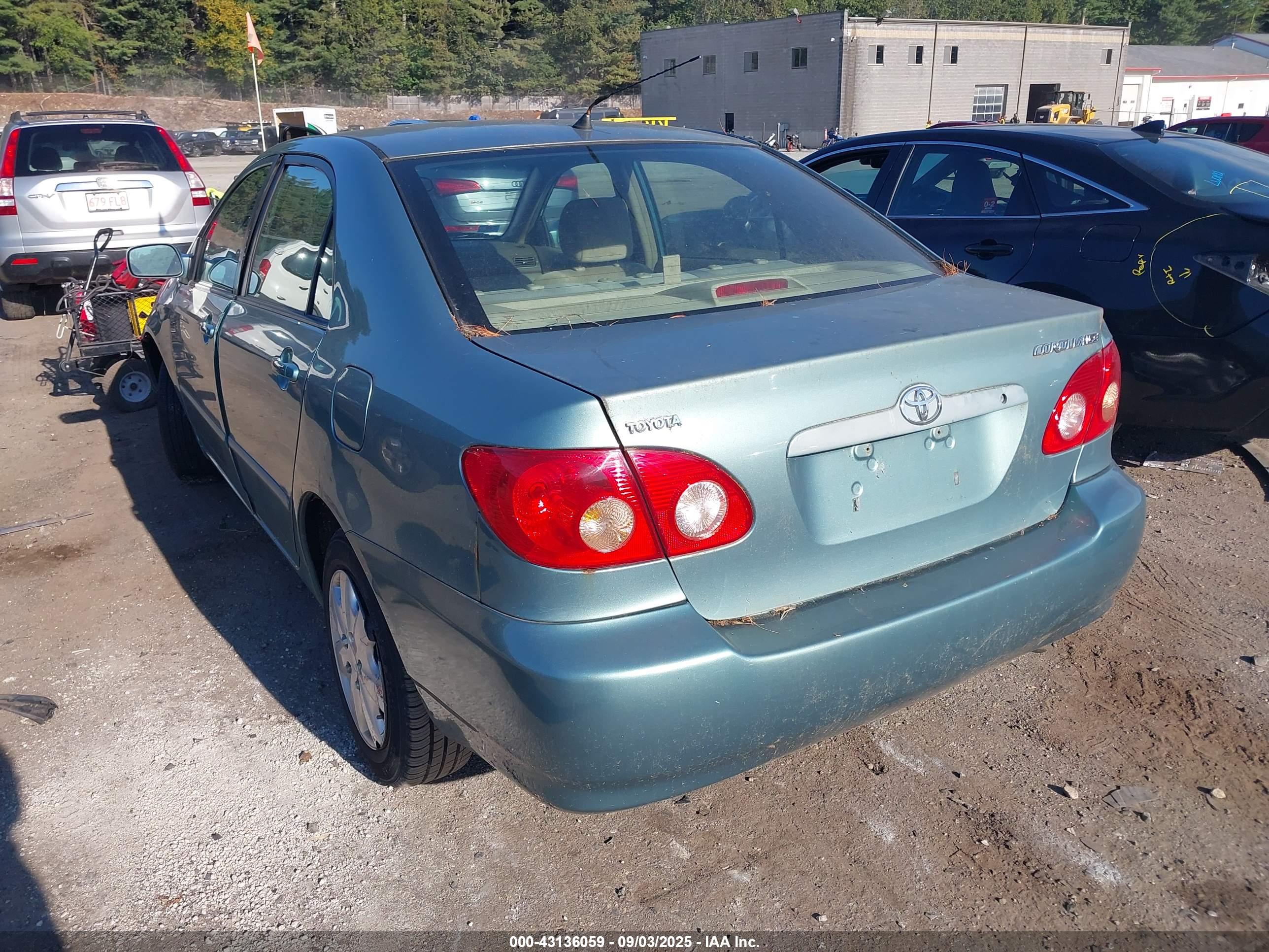 TOYOTA COROLLA image 3