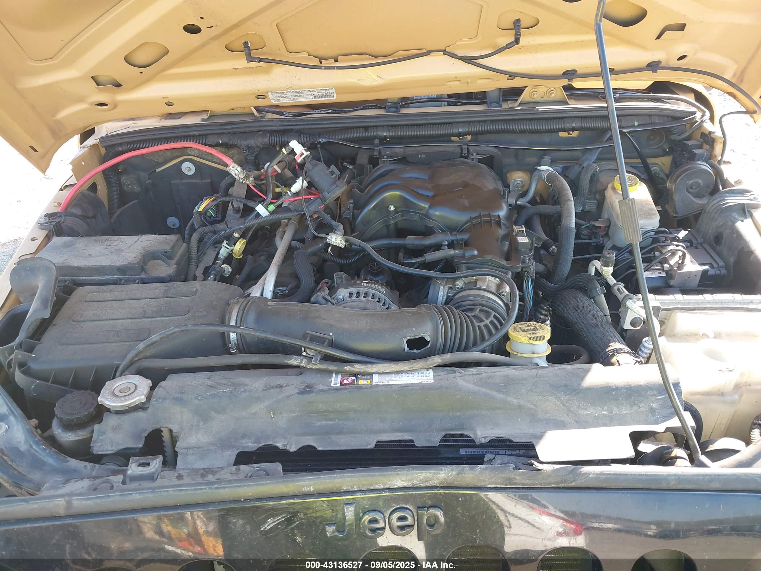 JEEP WRANGLER image 10