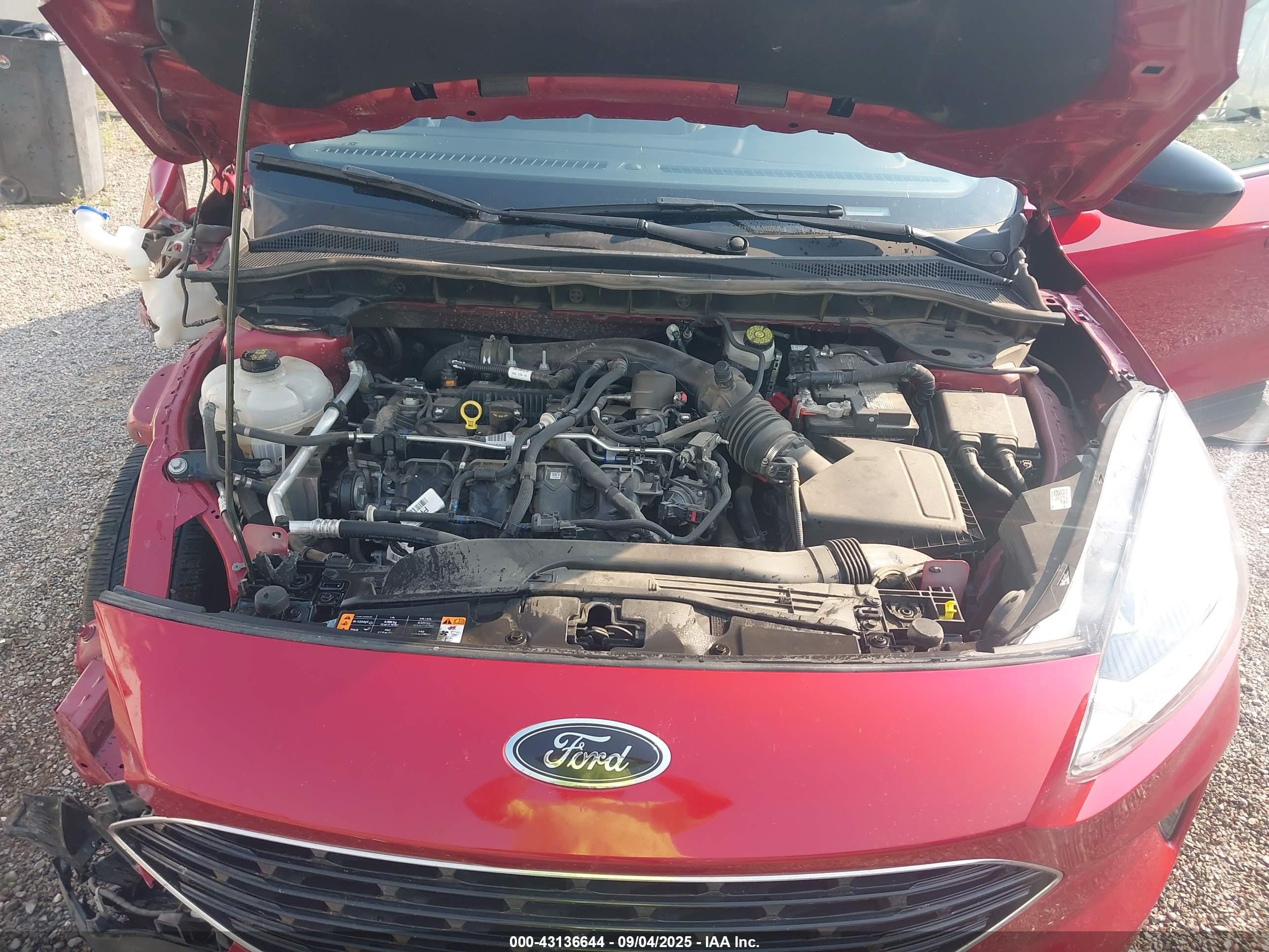 FORD ESCAPE image 10