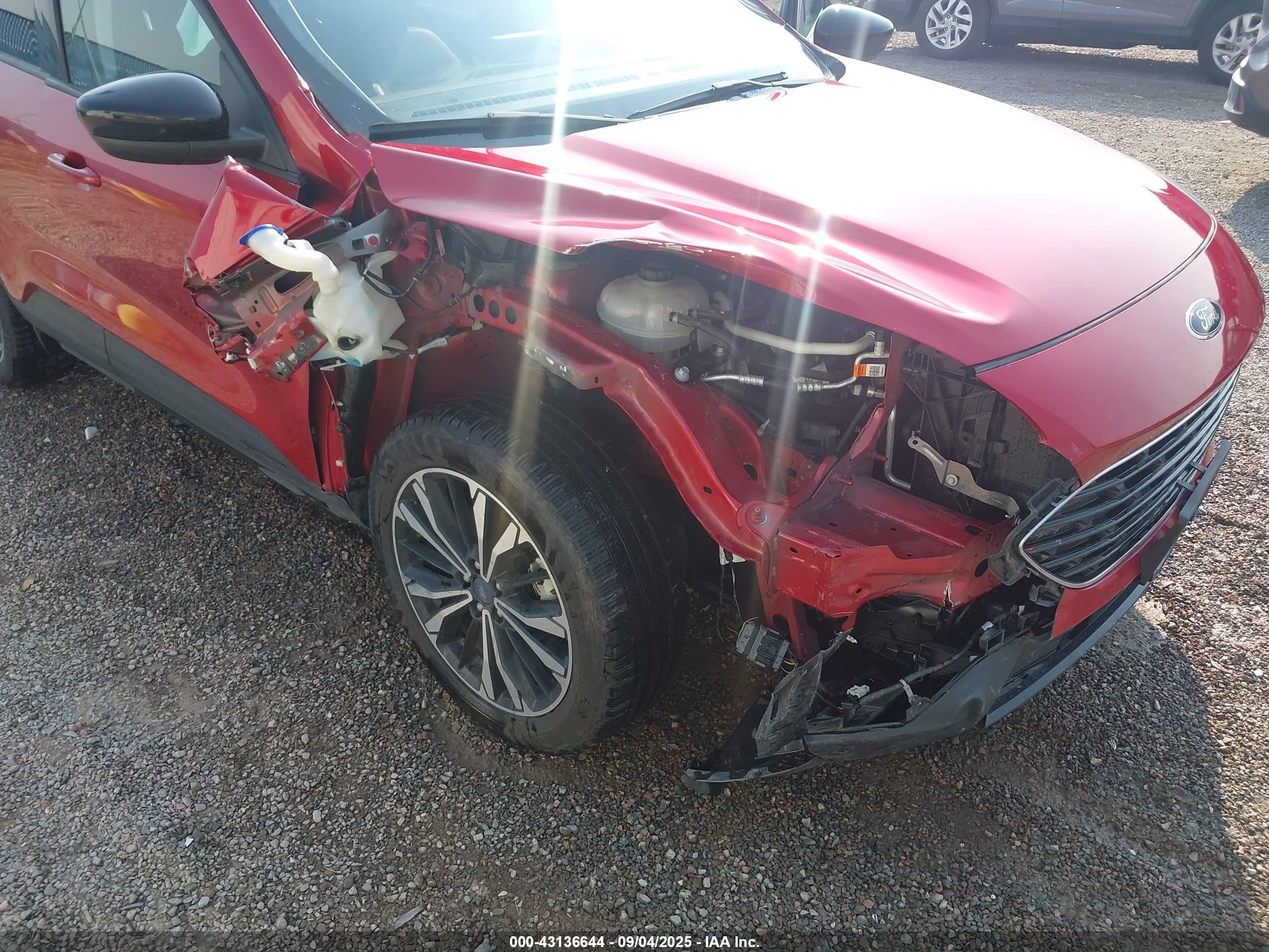 FORD ESCAPE image 6