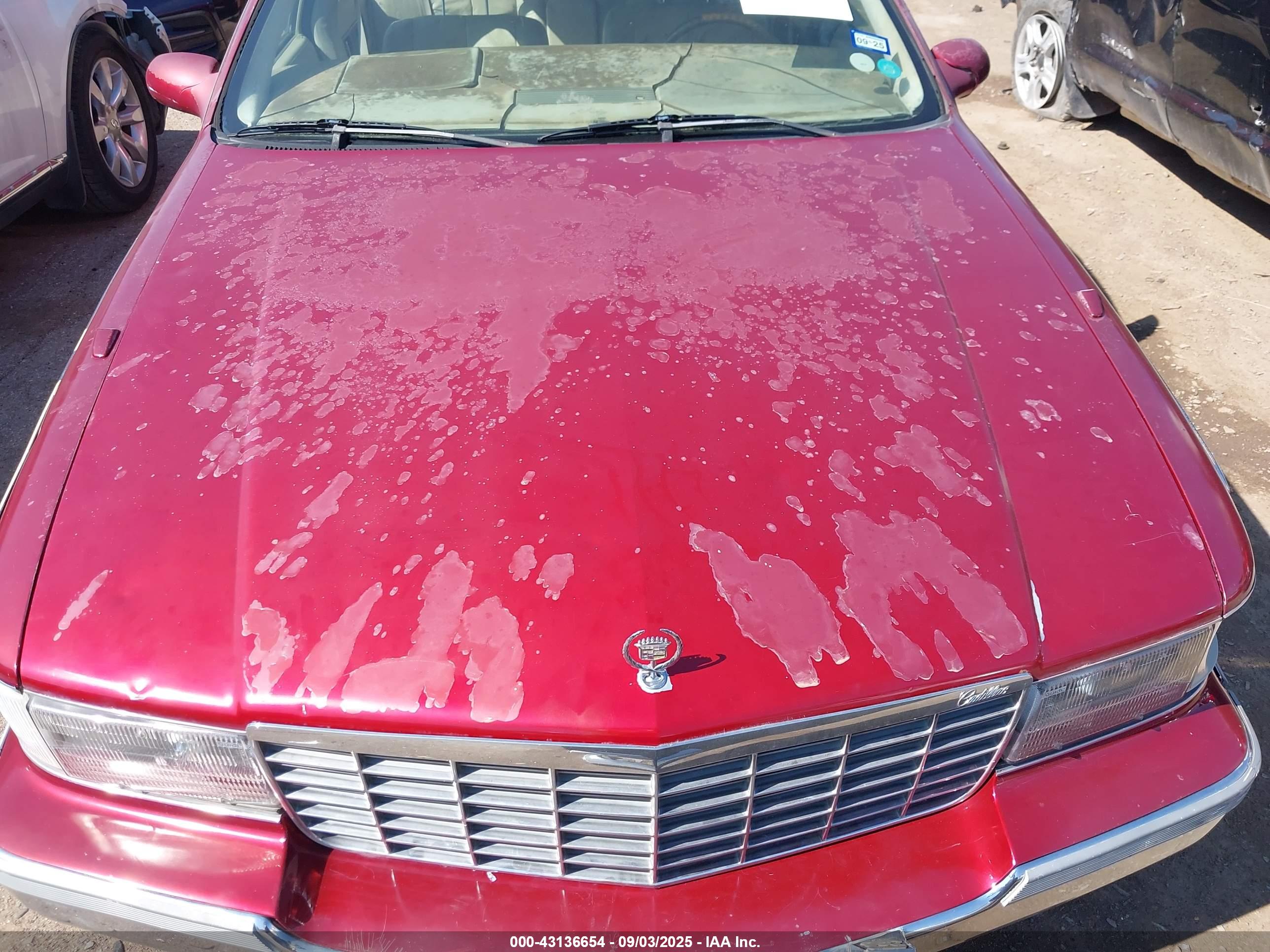 CADILLAC FLEETWOOD image 10
