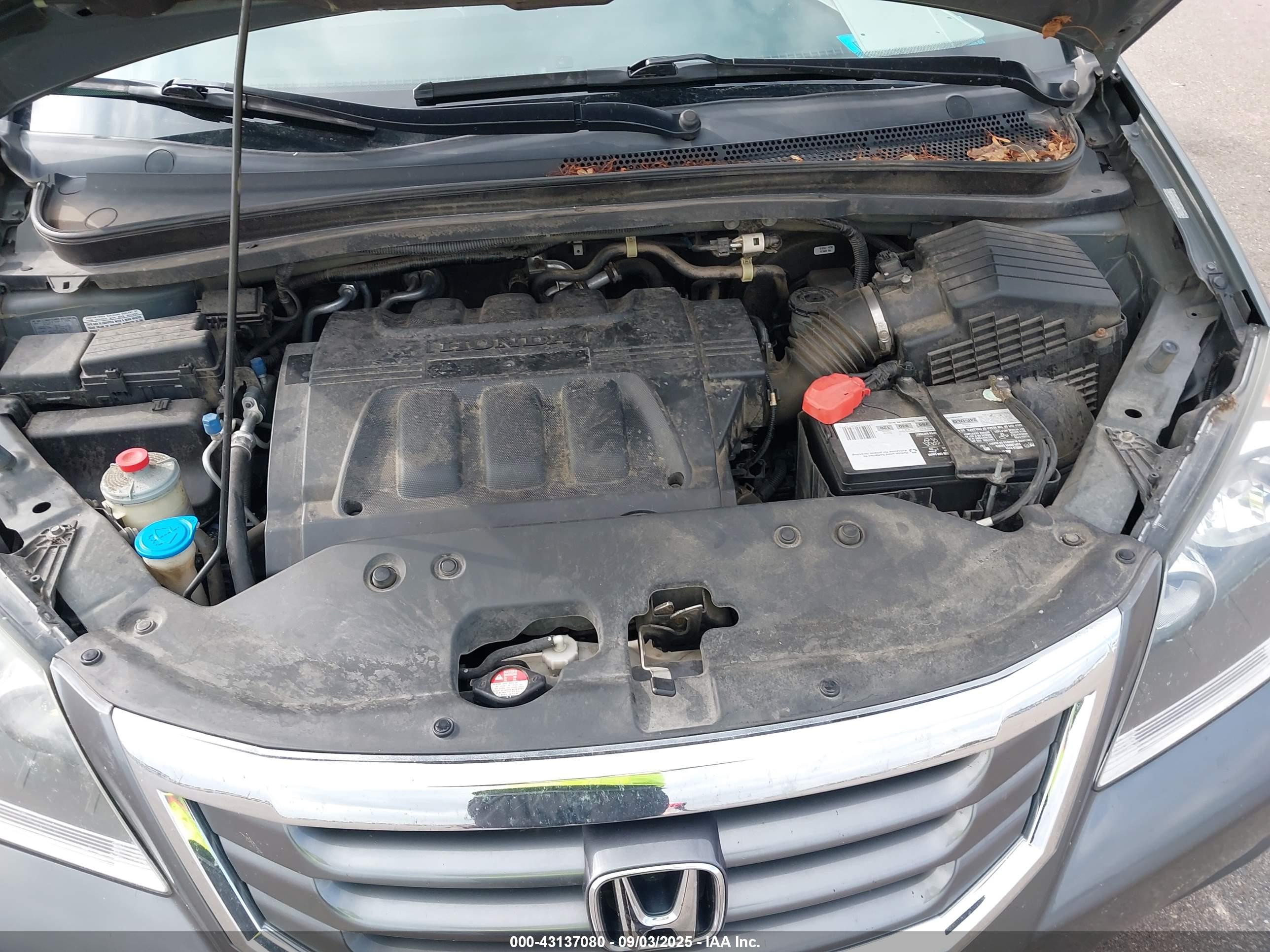 HONDA ODYSSEY image 10