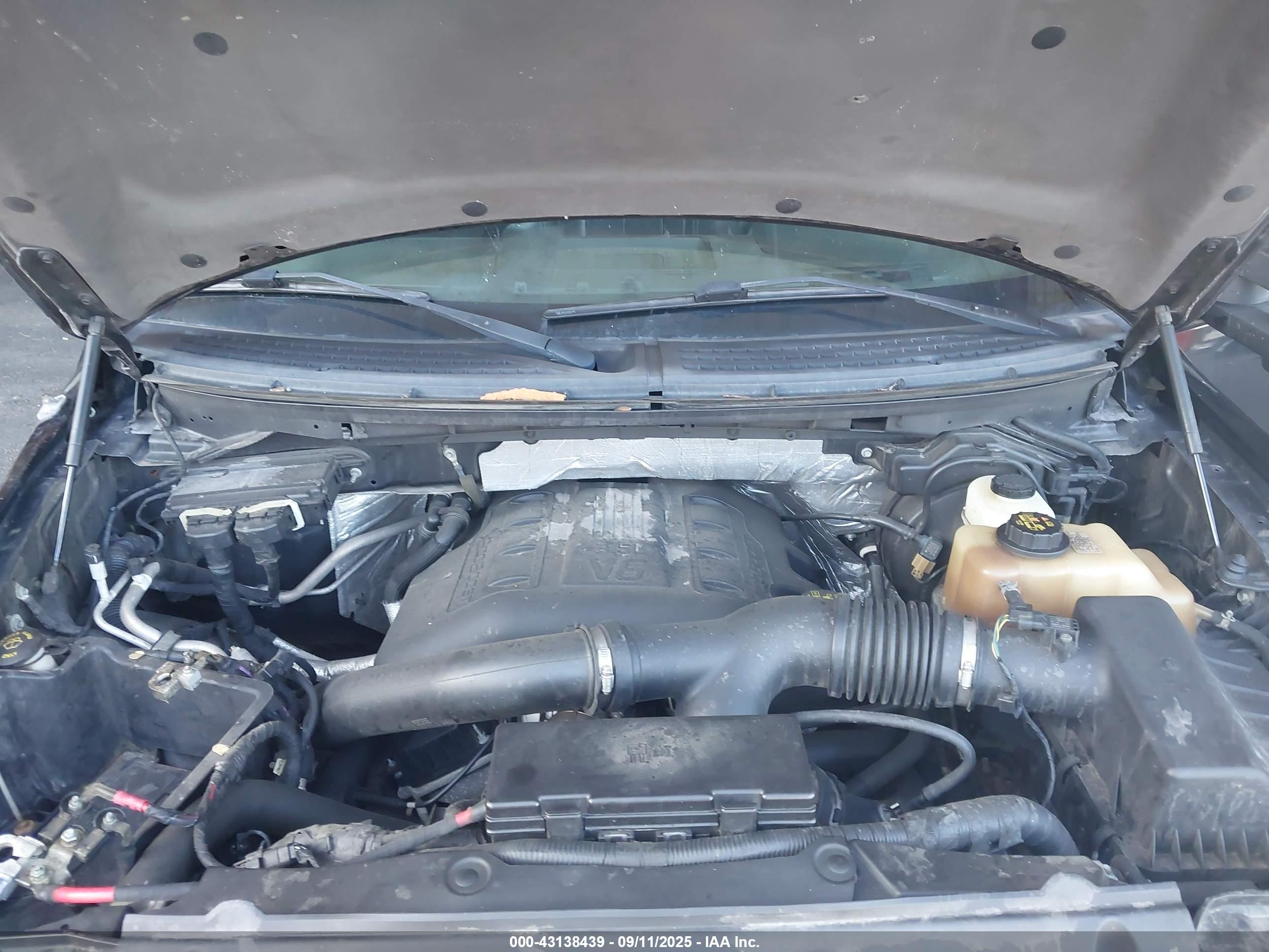 FORD F-150 image 10