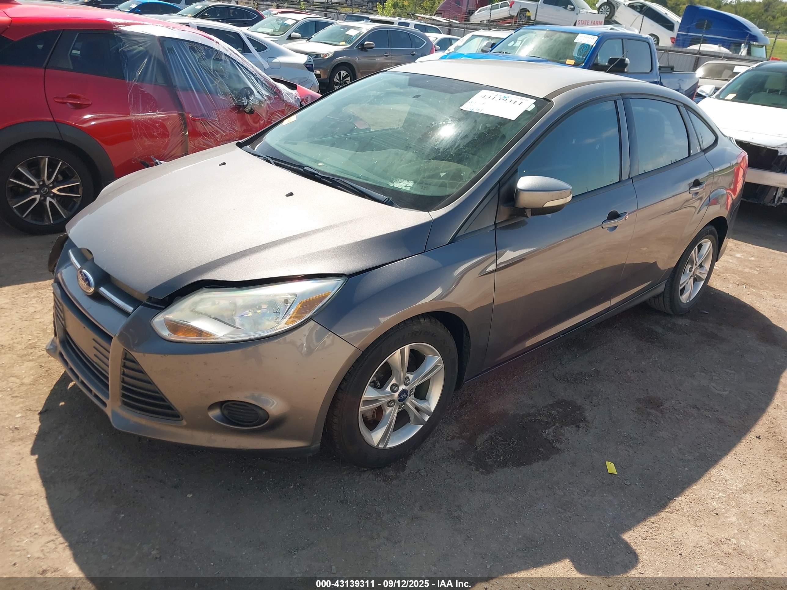 FORD FOCUS image 2