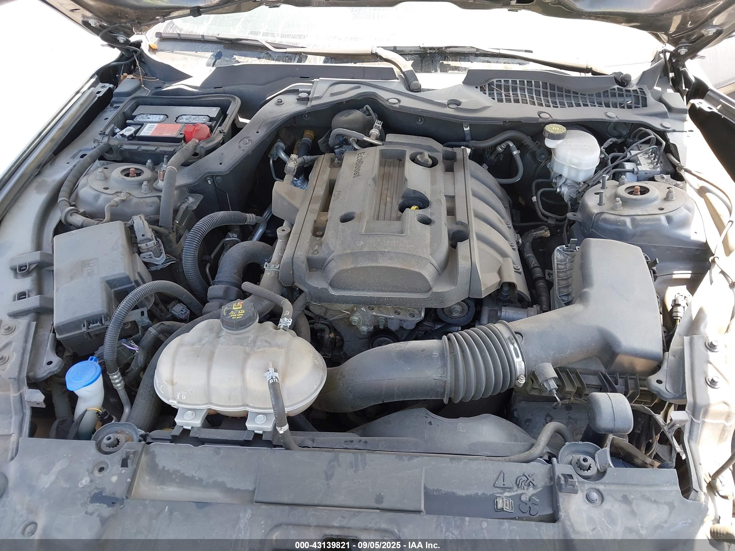 FORD MUSTANG image 10