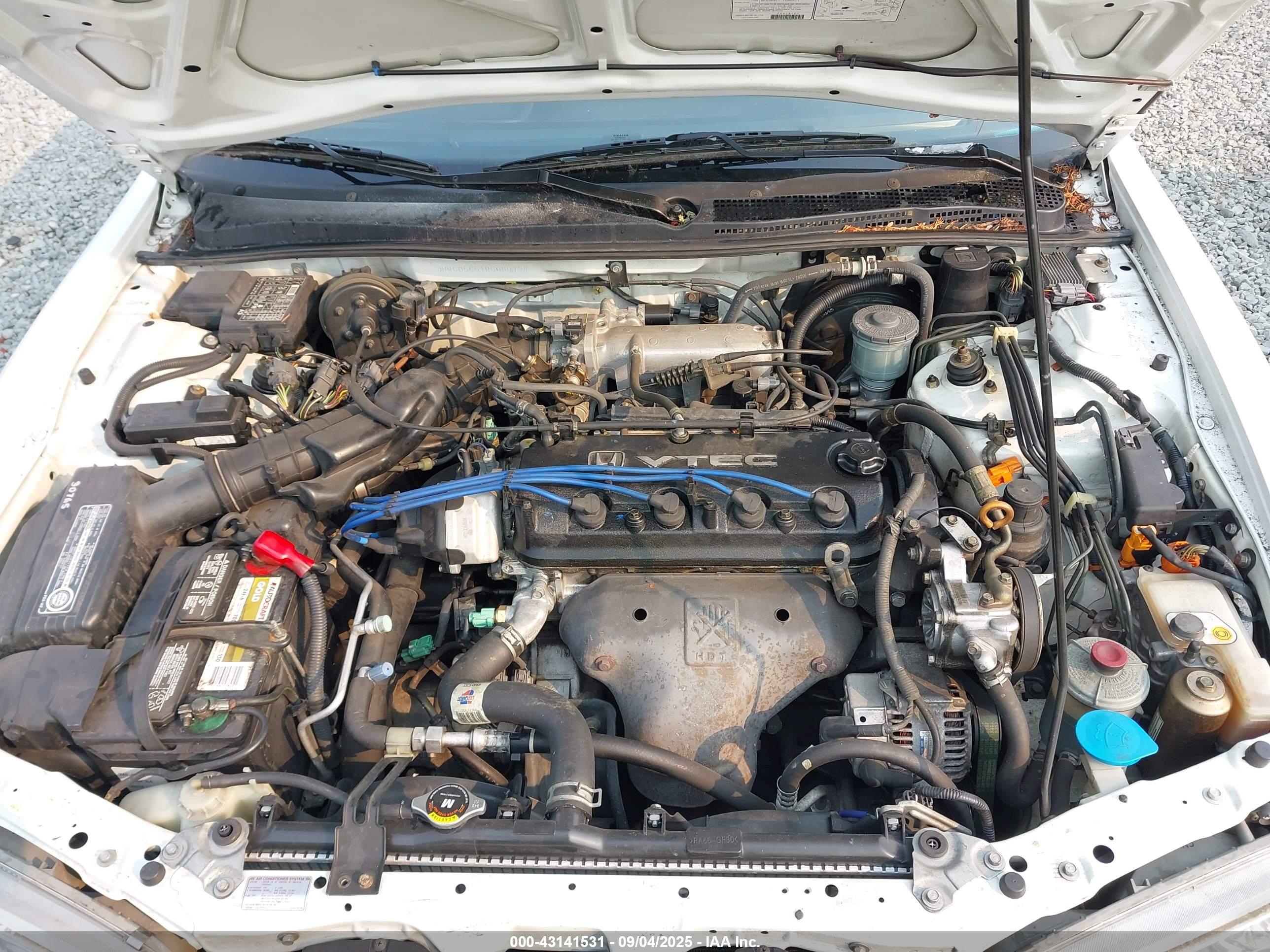 HONDA ACCORD image 10