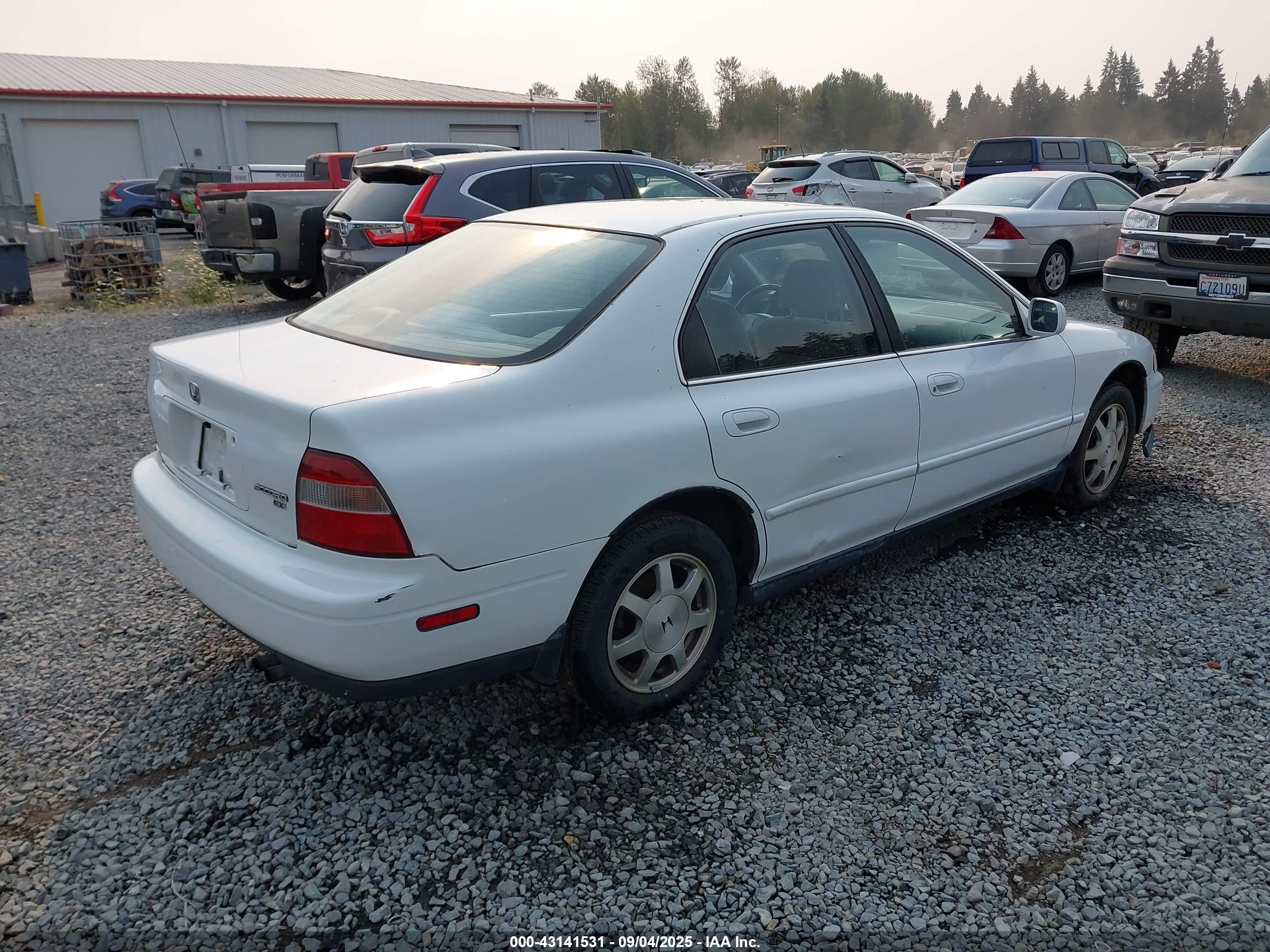 HONDA ACCORD image 4