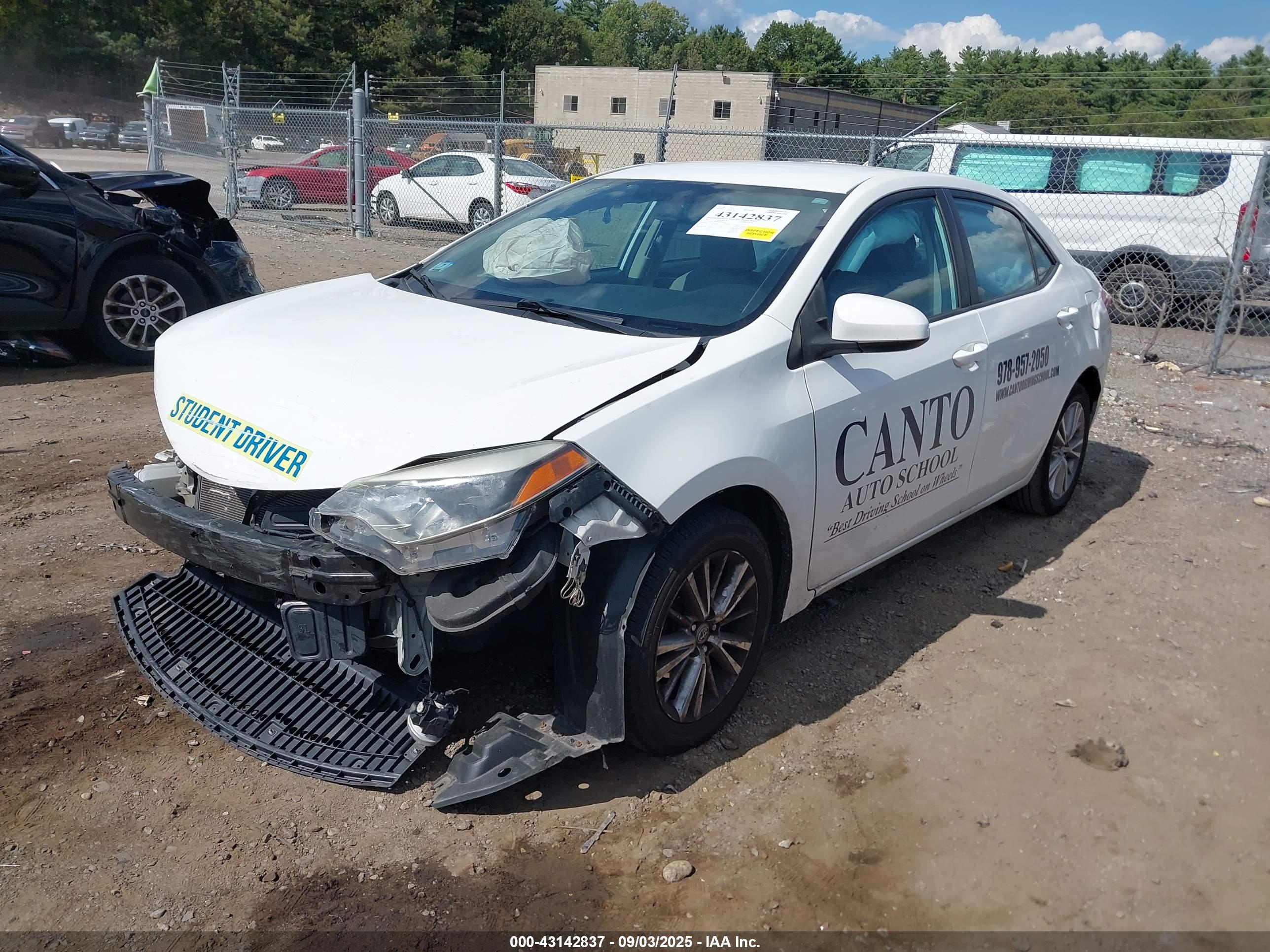 TOYOTA COROLLA image 2