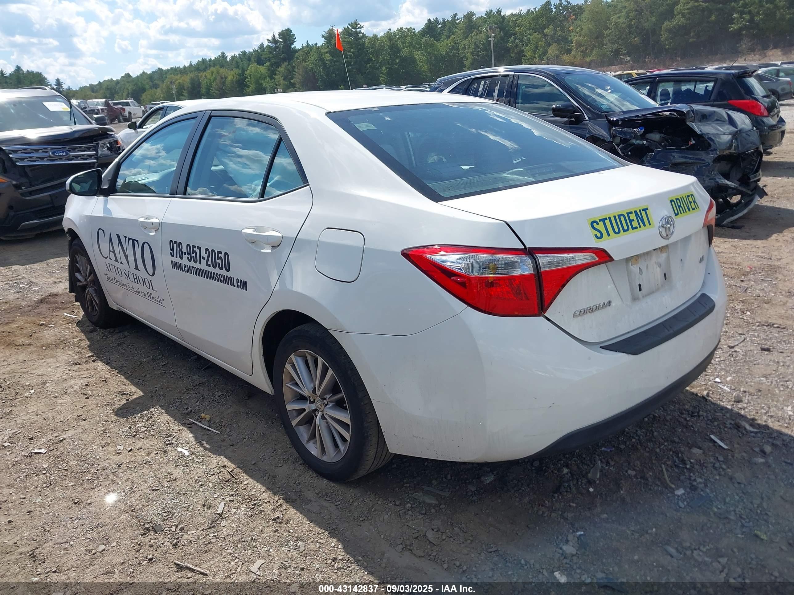 TOYOTA COROLLA image 3