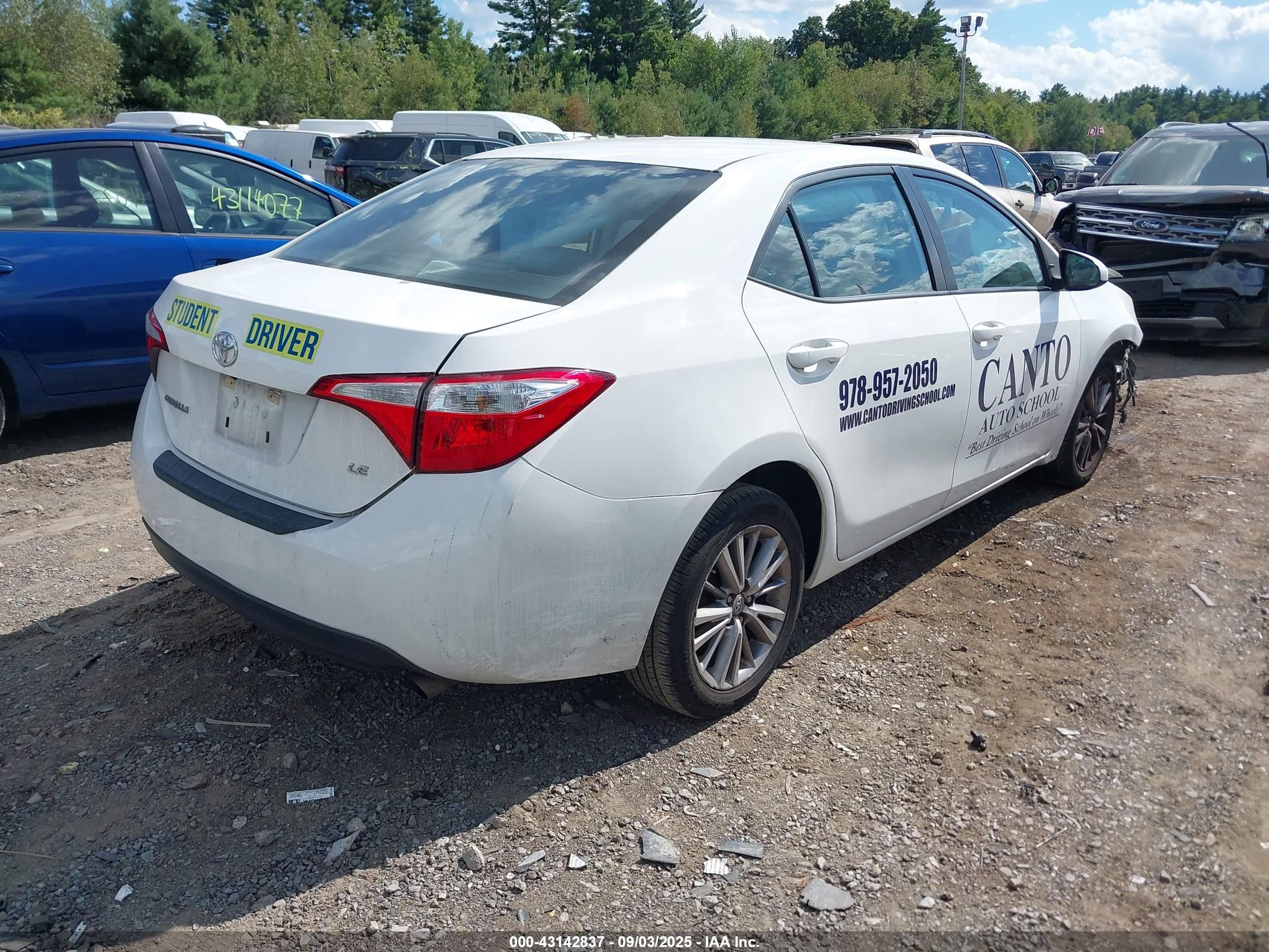 TOYOTA COROLLA image 4