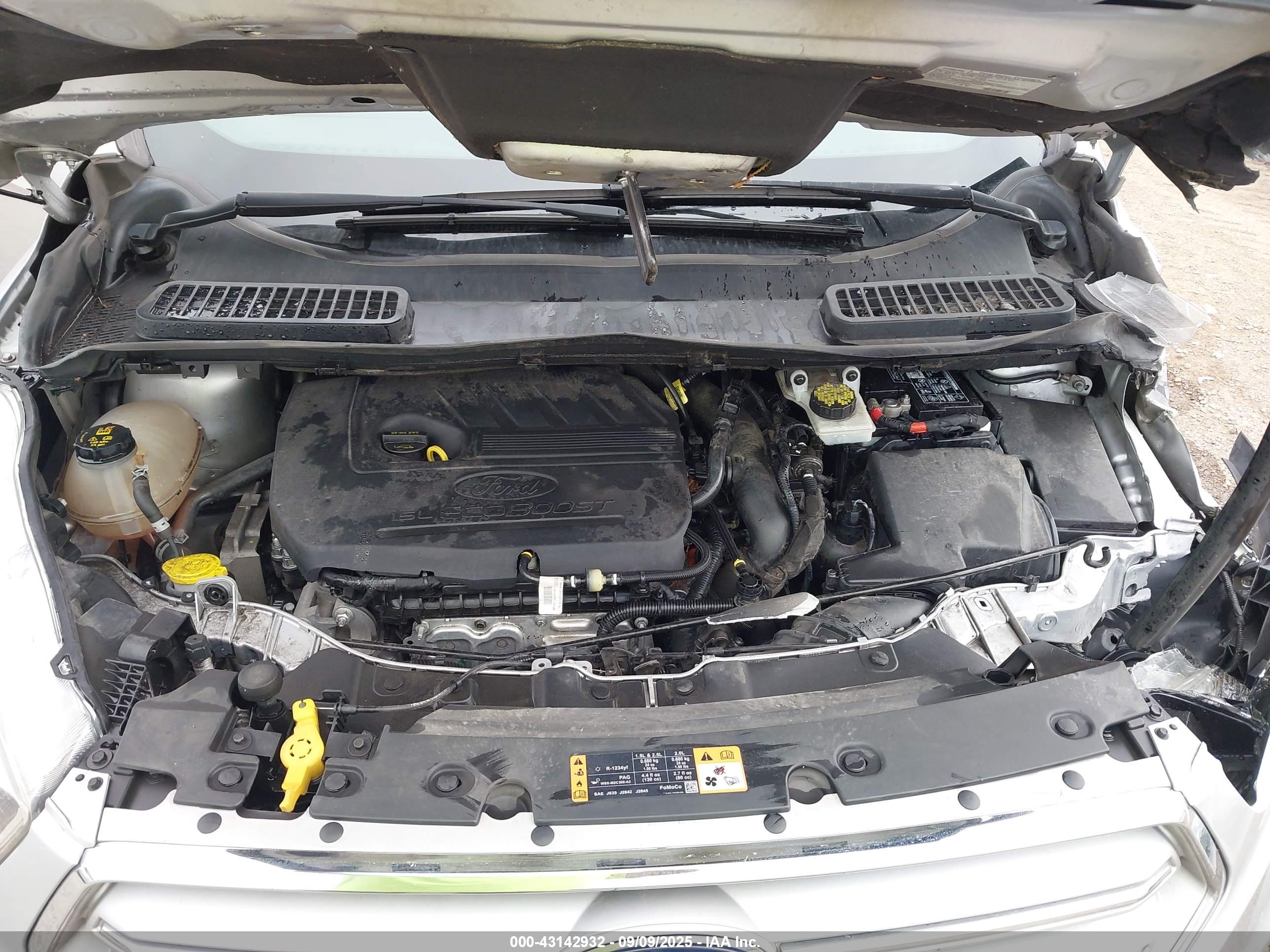FORD ESCAPE image 10