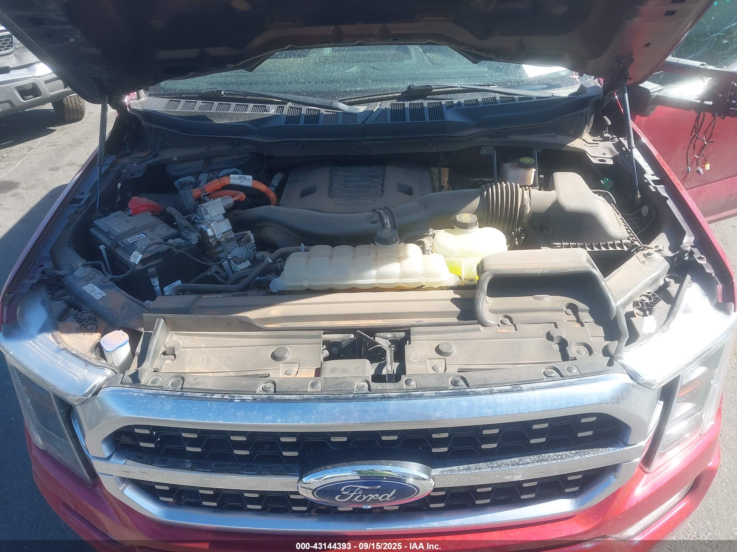 FORD F-150 image 10