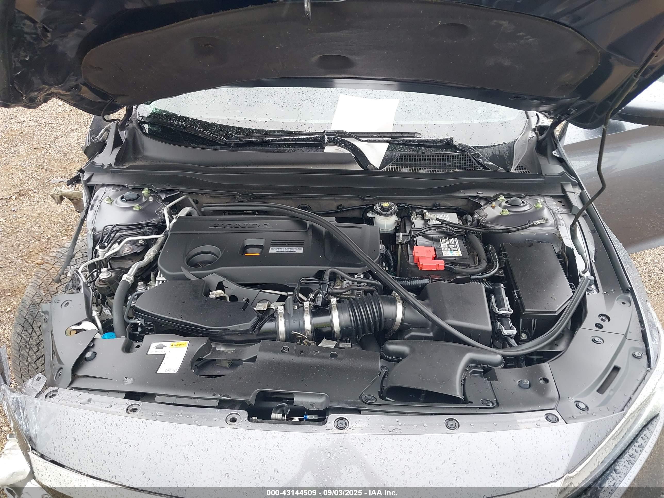 HONDA ACCORD image 10