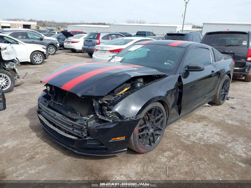 FORD MUSTANG image 2