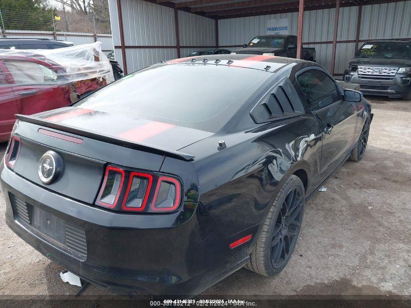 FORD MUSTANG image 4