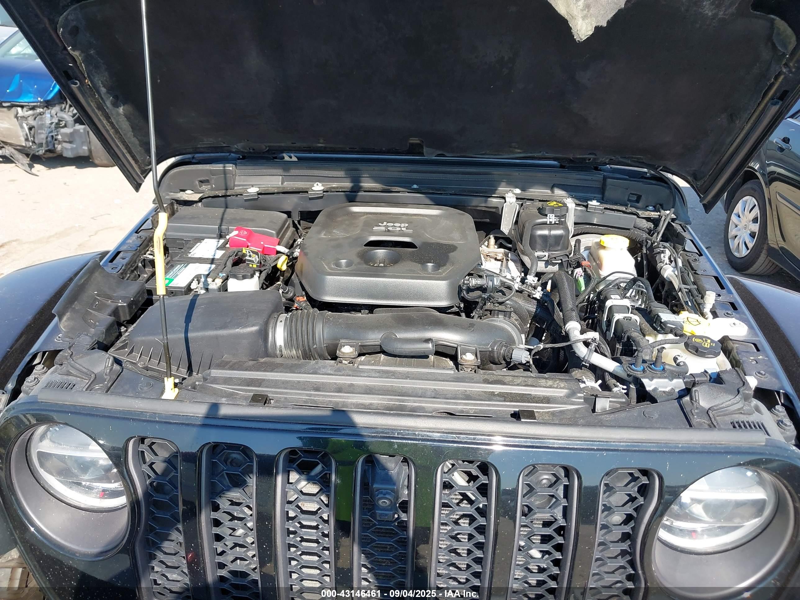 JEEP WRANGLER image 10