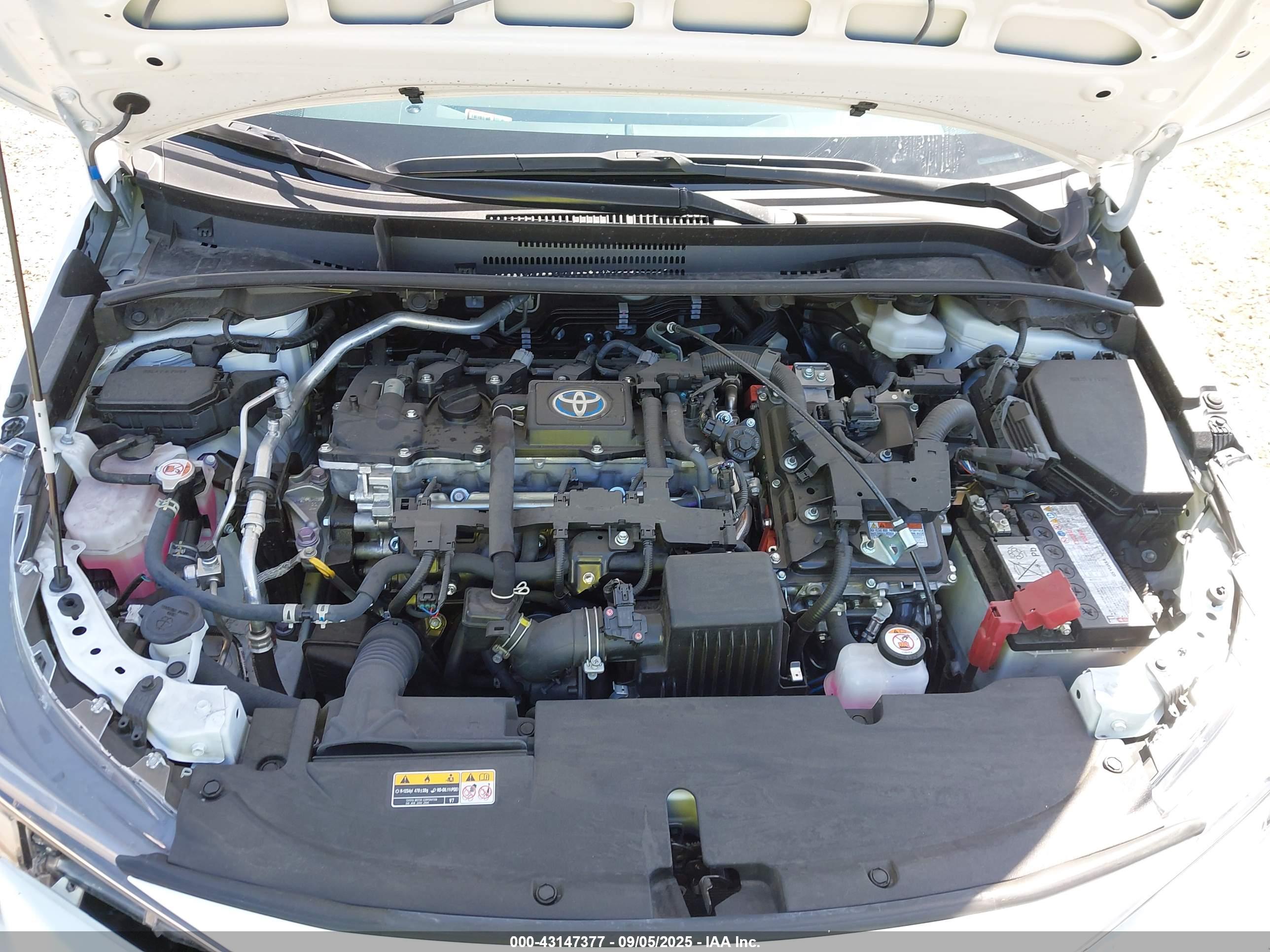 TOYOTA COROLLA image 10