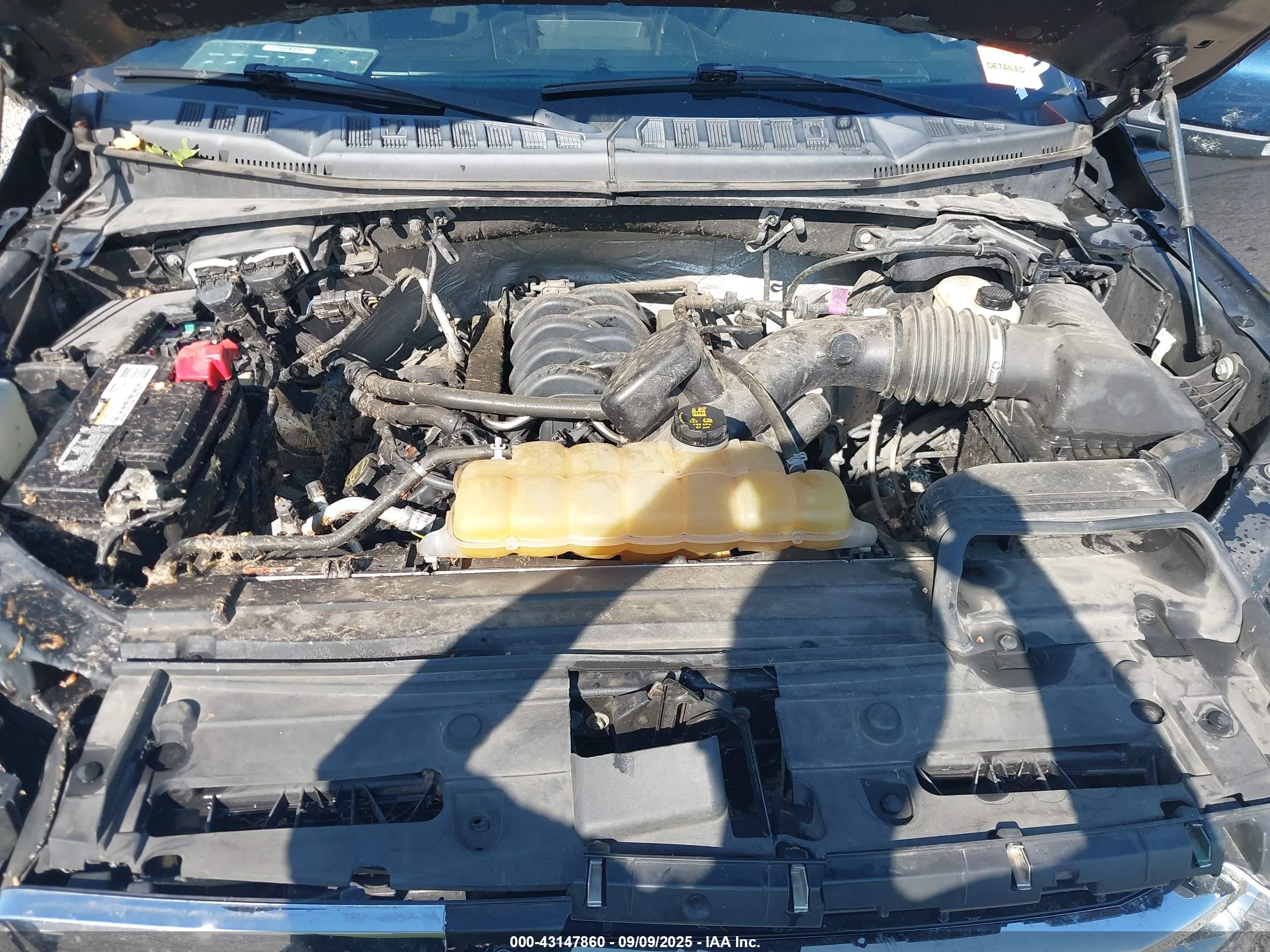 FORD F-150 image 10