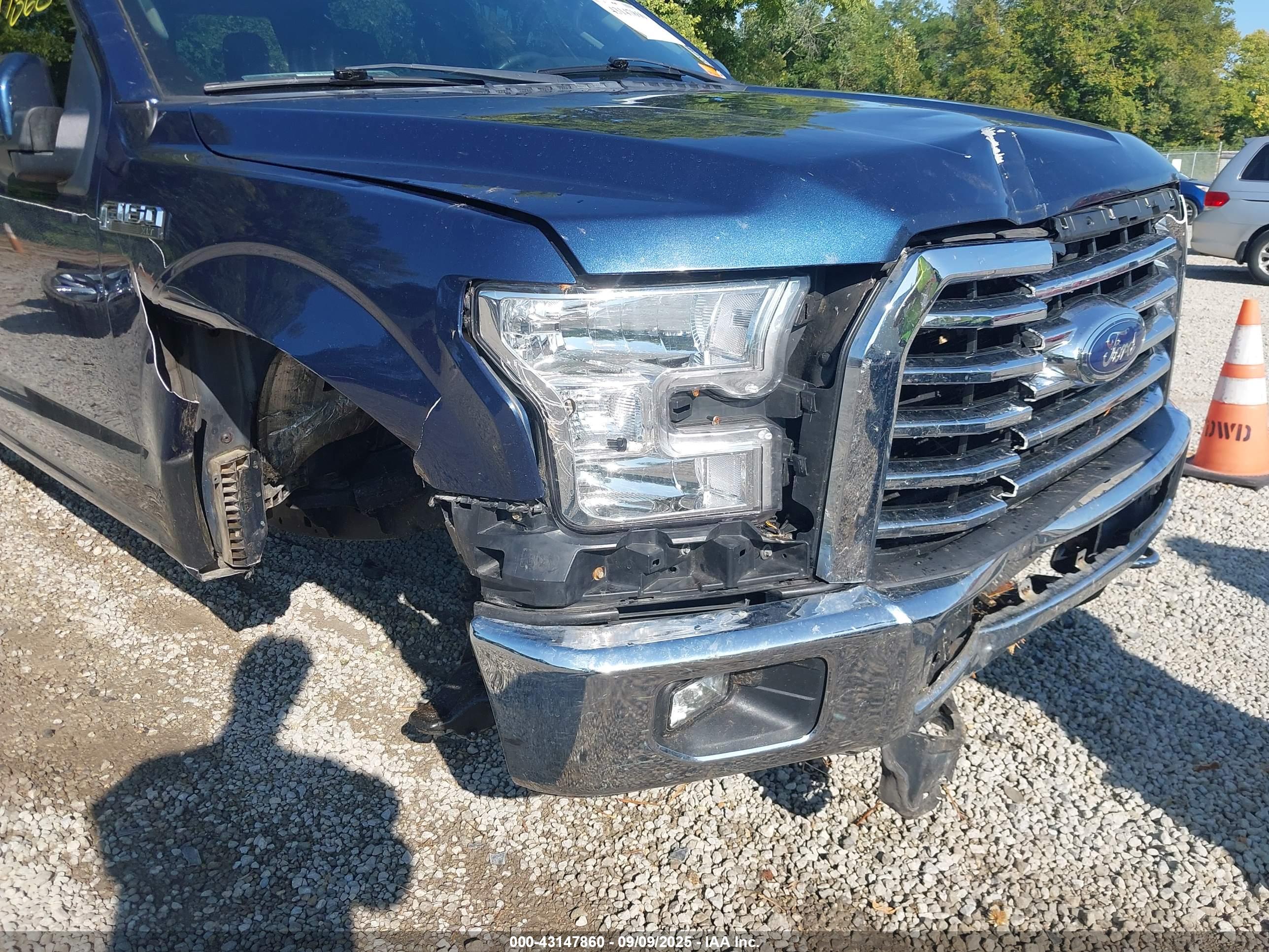 FORD F-150 image 6