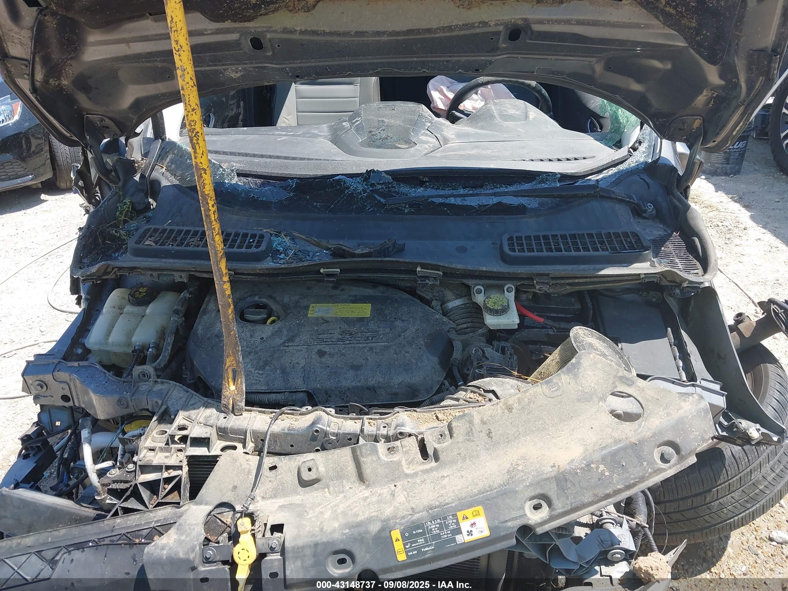 FORD ESCAPE image 10