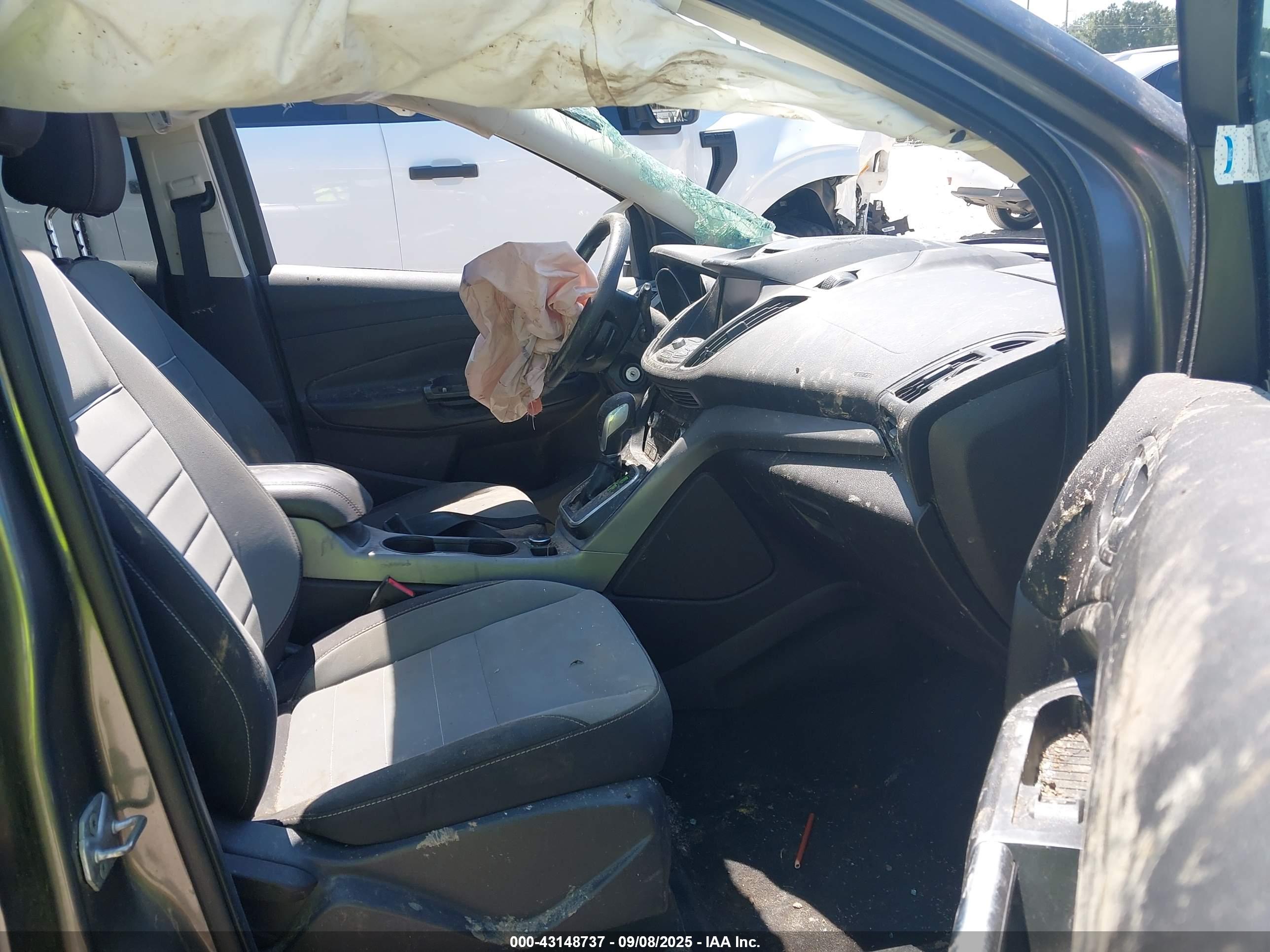 FORD ESCAPE image 5