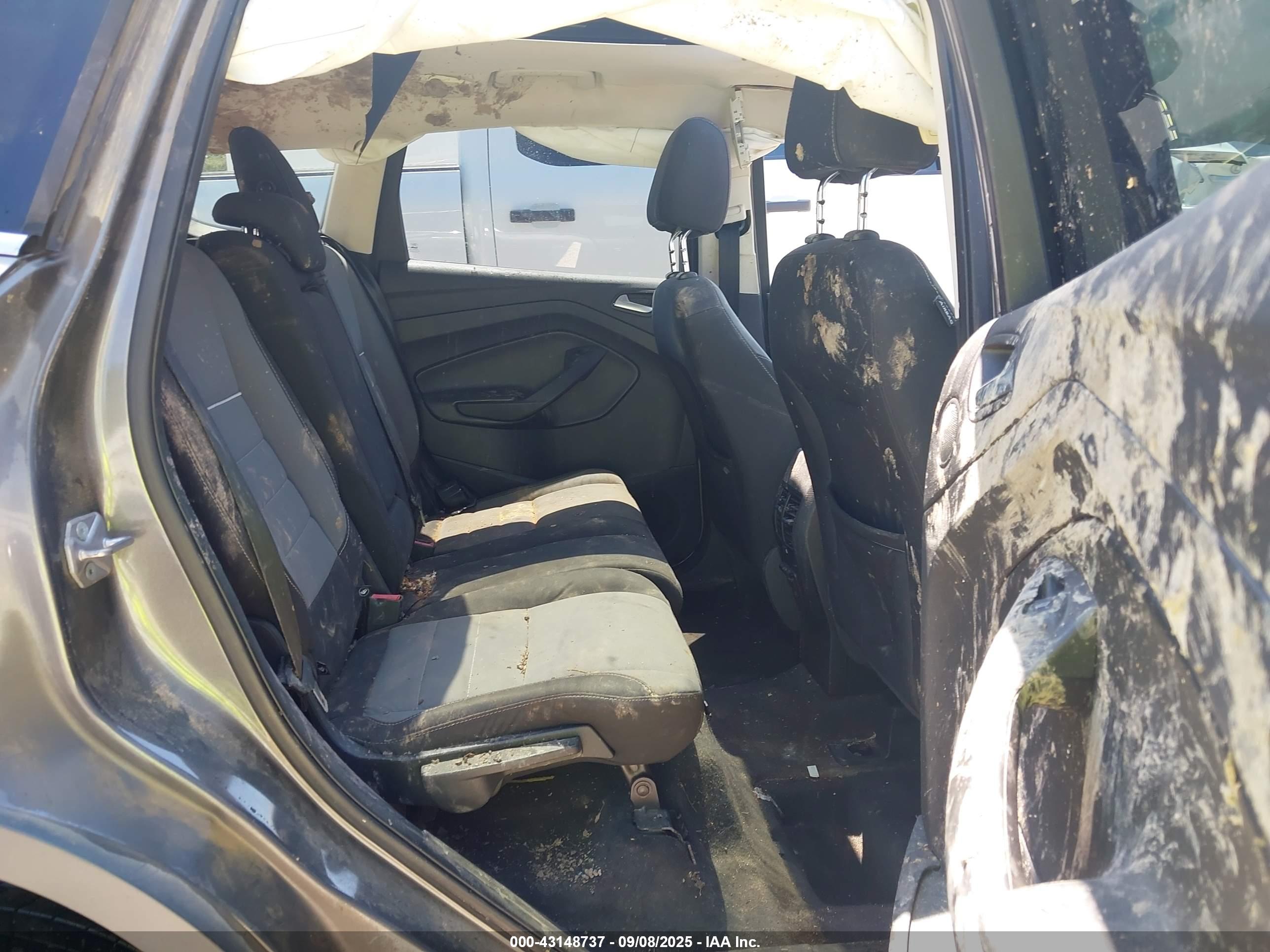 FORD ESCAPE image 8