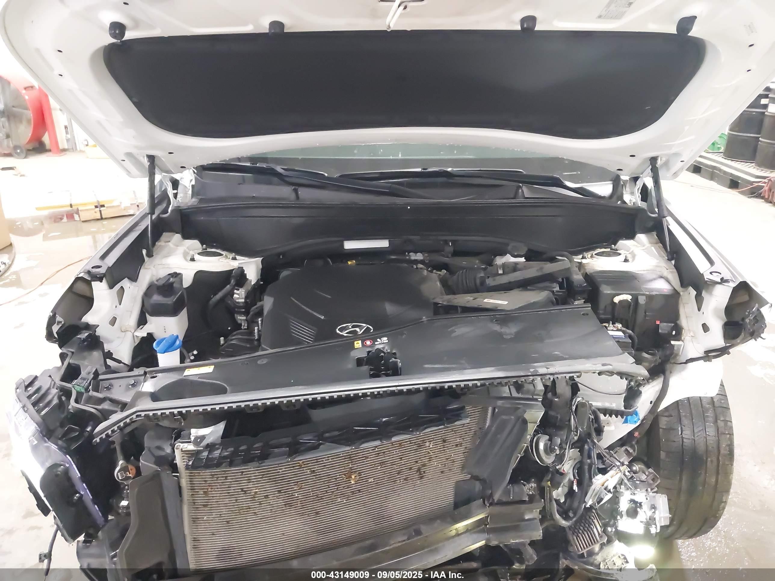 HYUNDAI PALISADE image 10