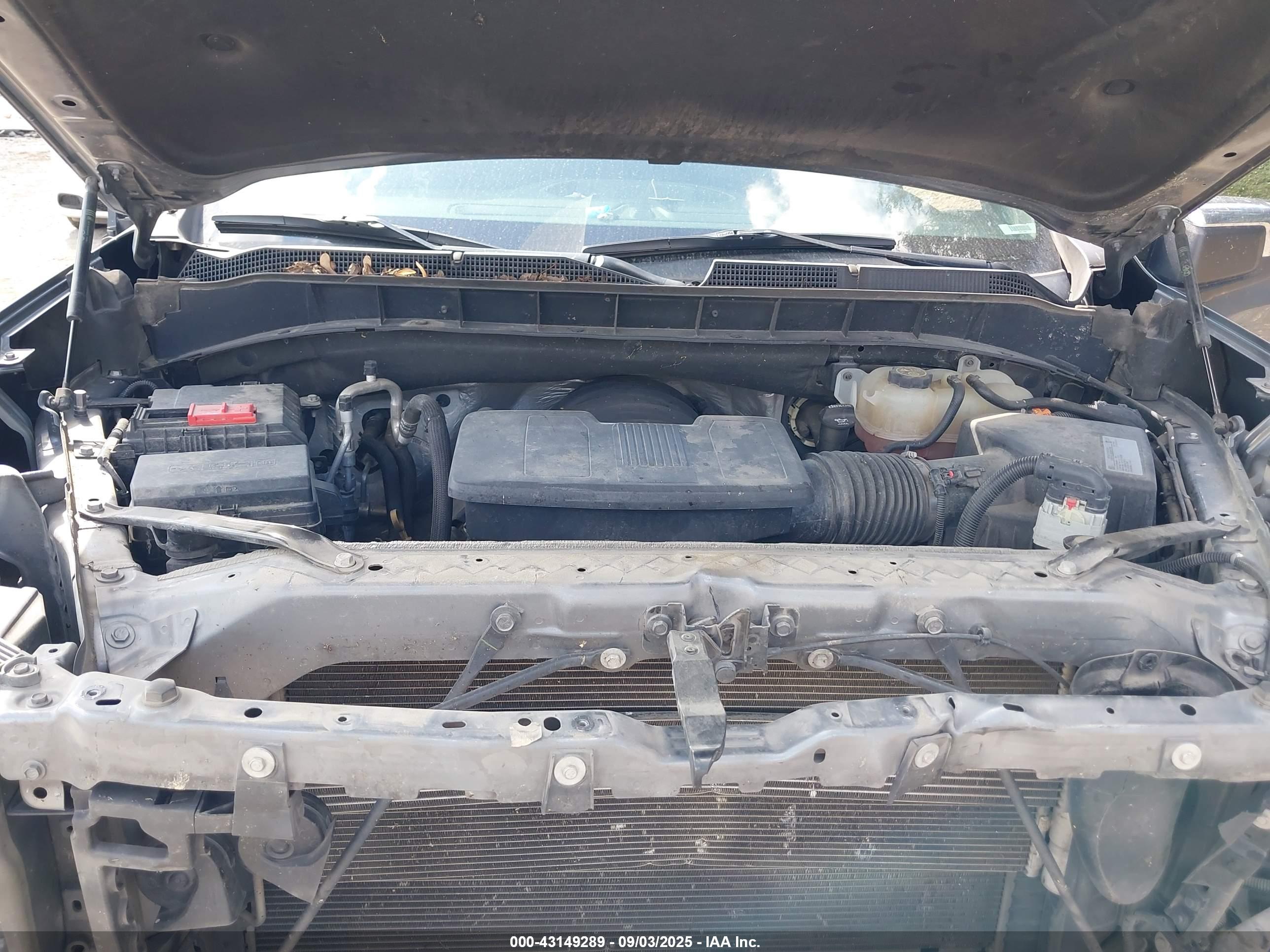 CHEVROLET SILVERADO image 10