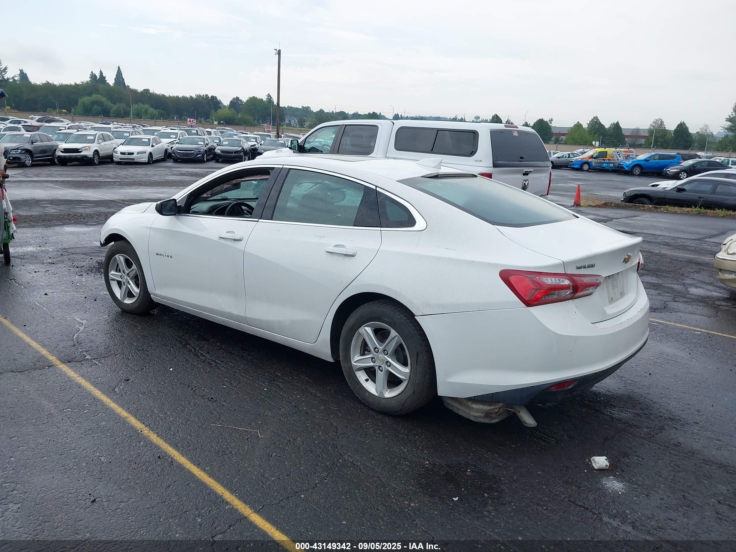 CHEVROLET MALIBU image 3