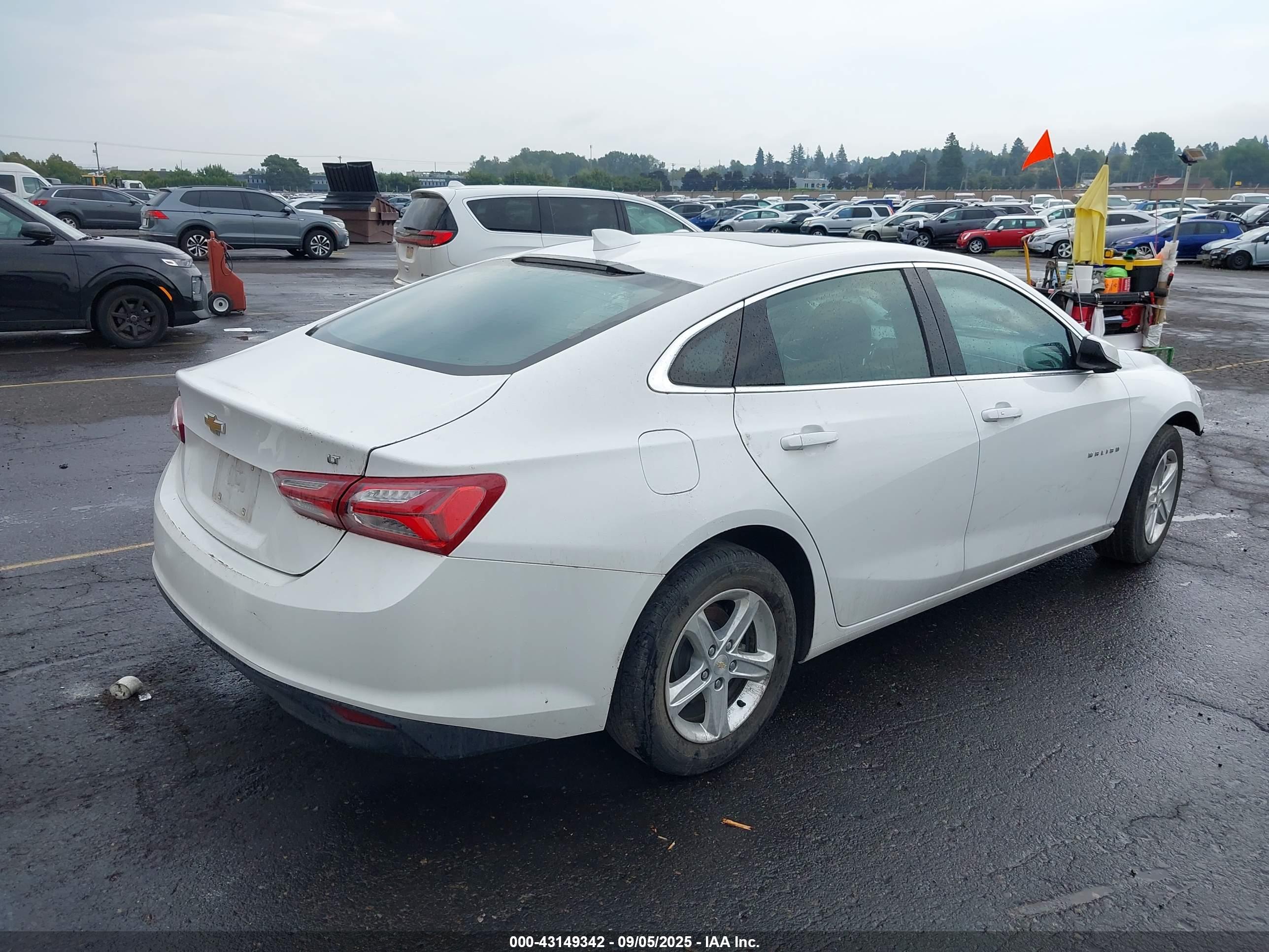 CHEVROLET MALIBU image 4
