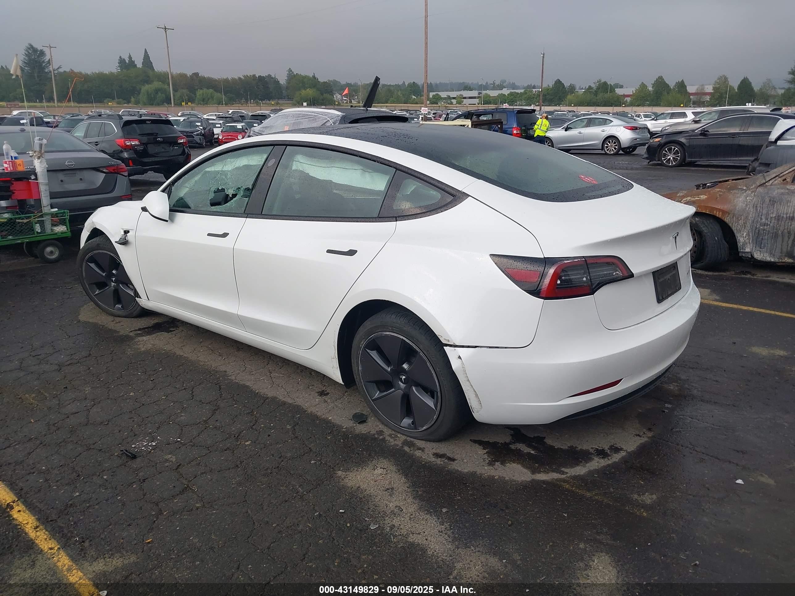 TESLA MODEL image 3