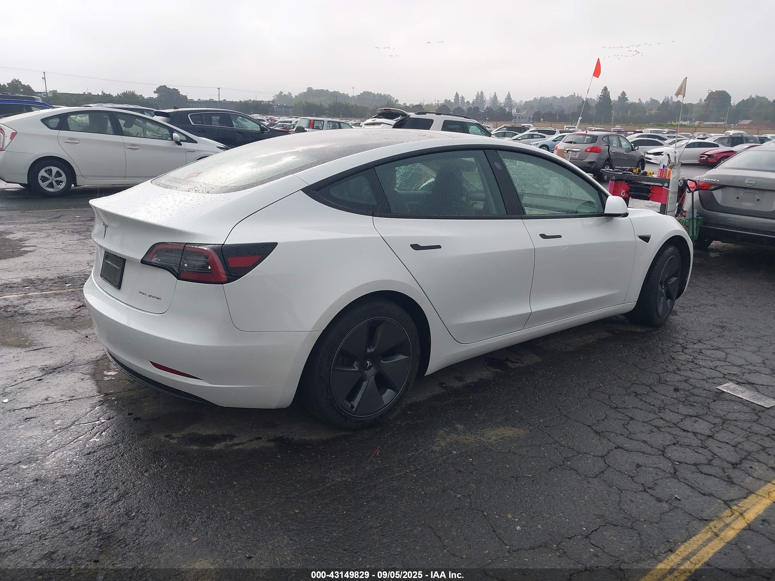 TESLA MODEL image 4