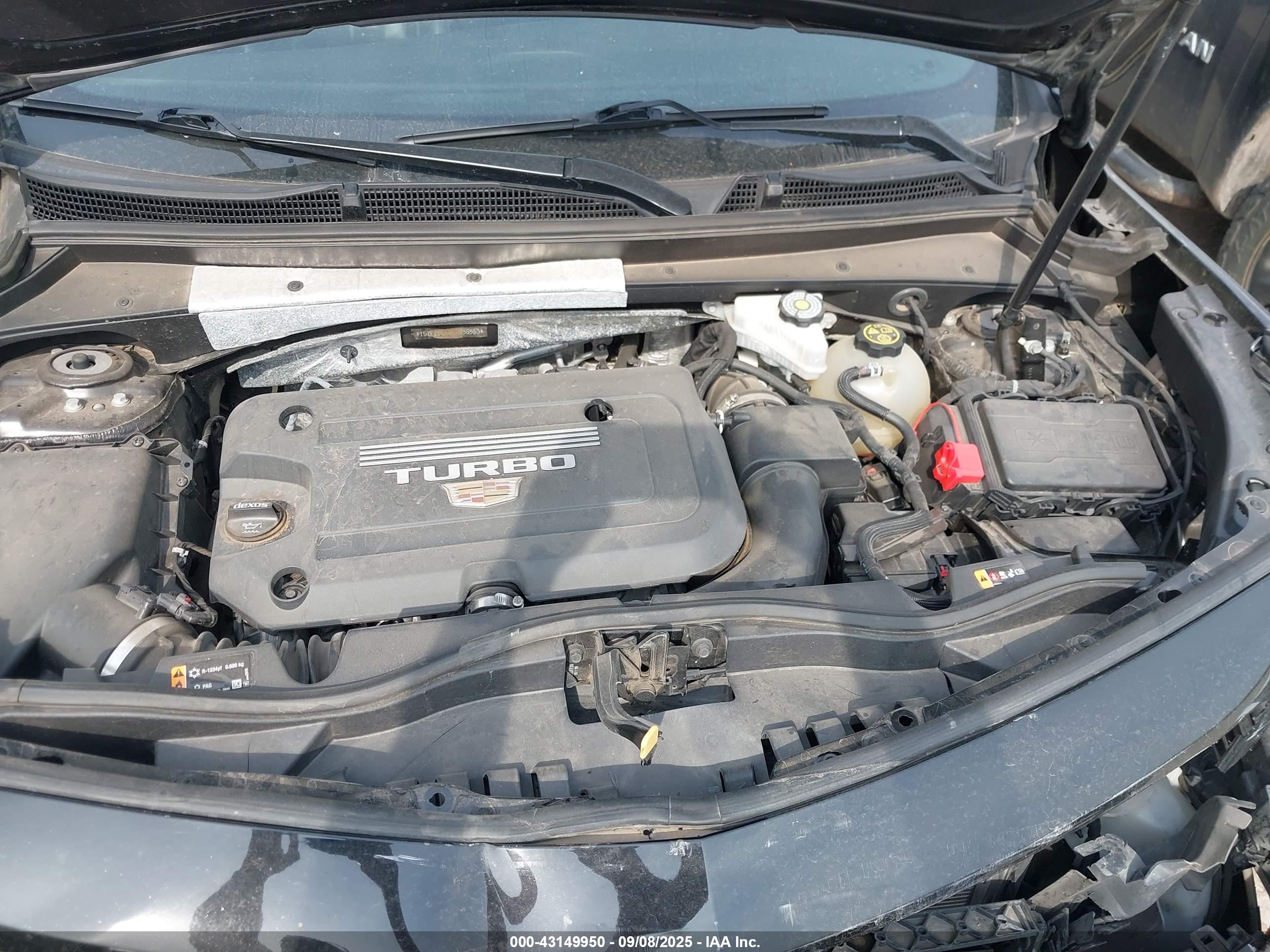 CADILLAC XT4 image 10