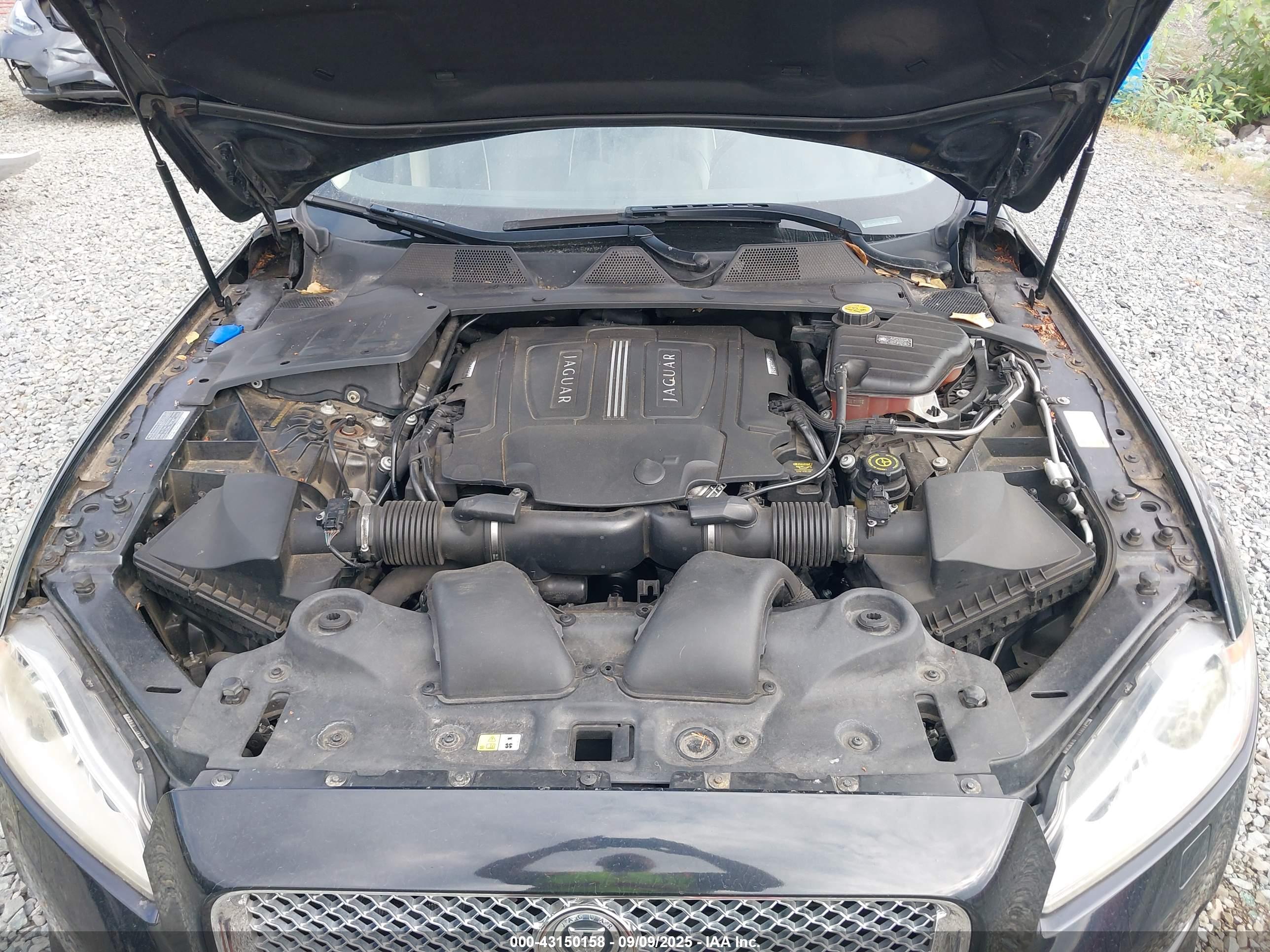 JAGUAR XJ image 10