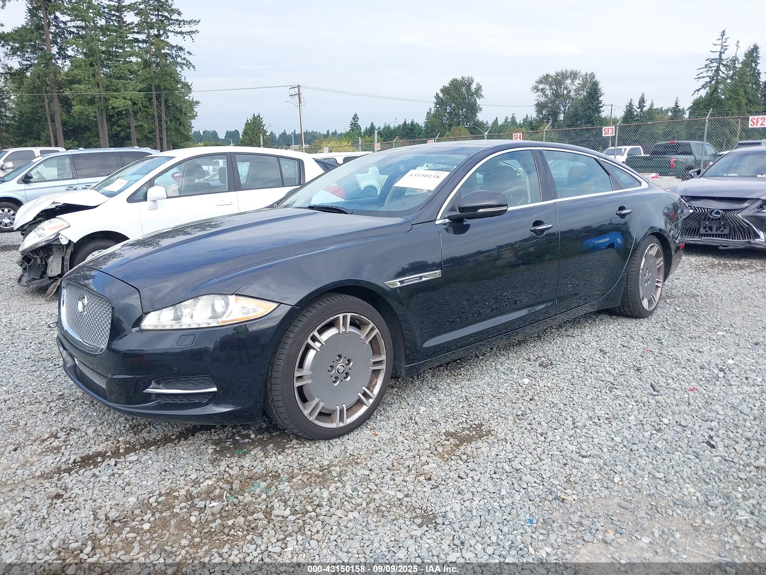 JAGUAR XJ image 2