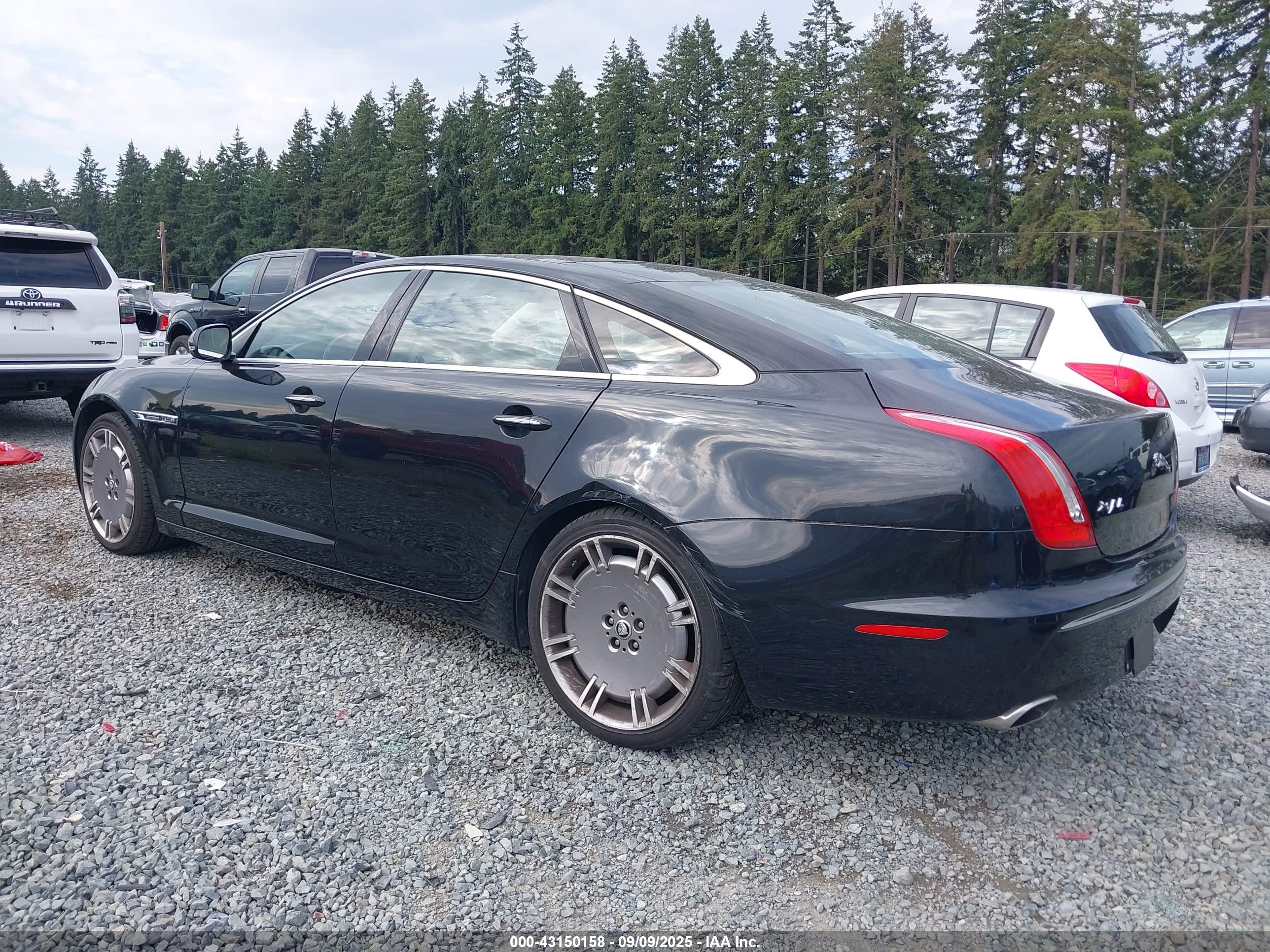 JAGUAR XJ image 6