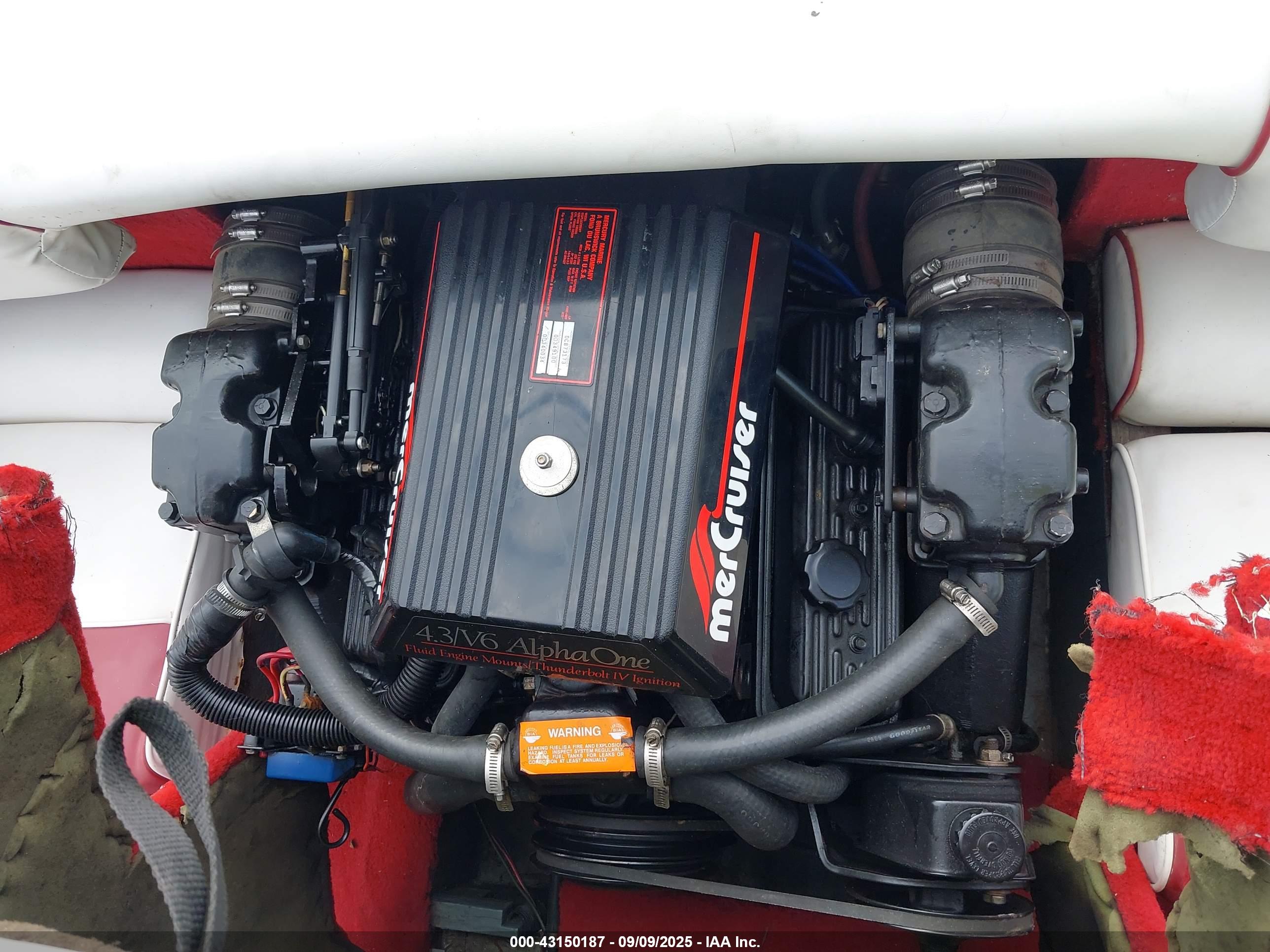 SEA RAY image 10