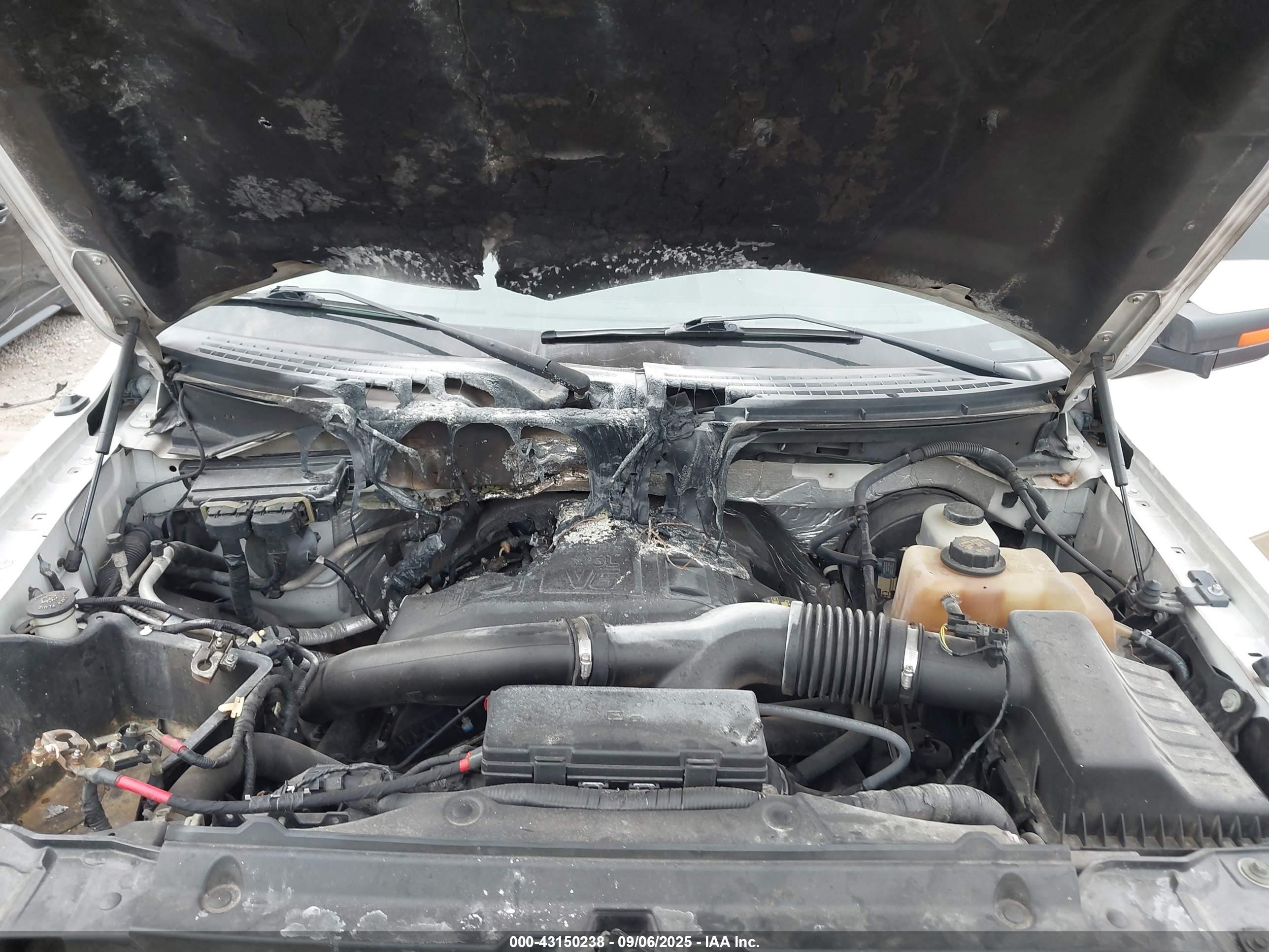 FORD F-150 image 10