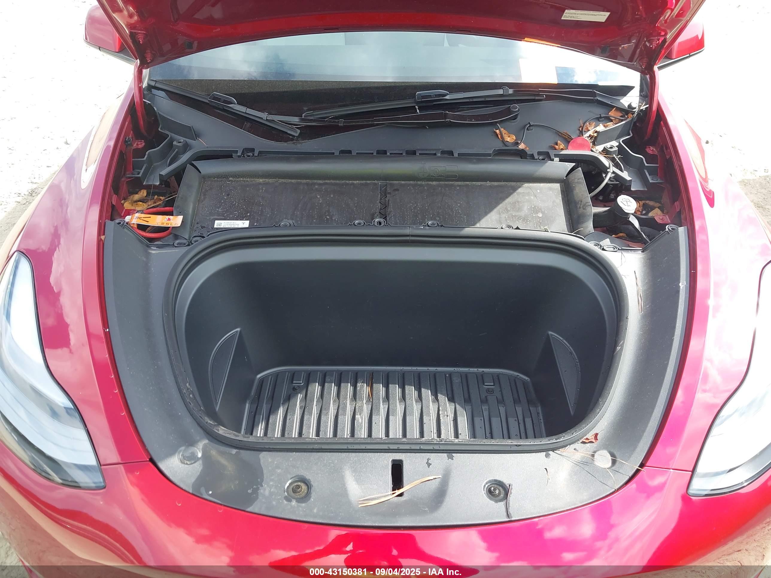 TESLA MODEL image 10