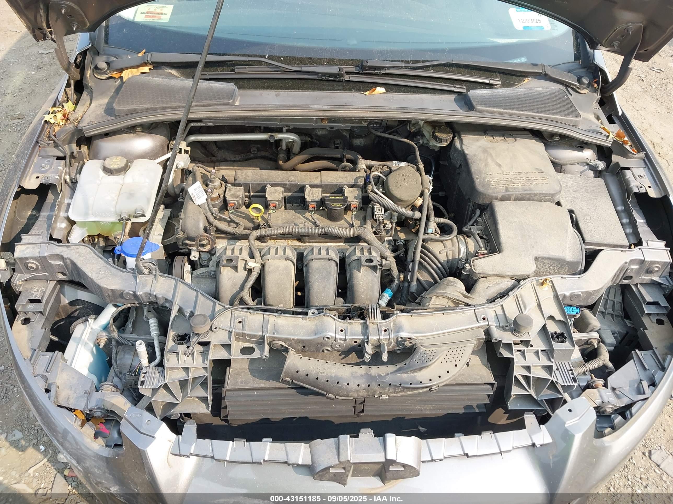FORD FOCUS image 10